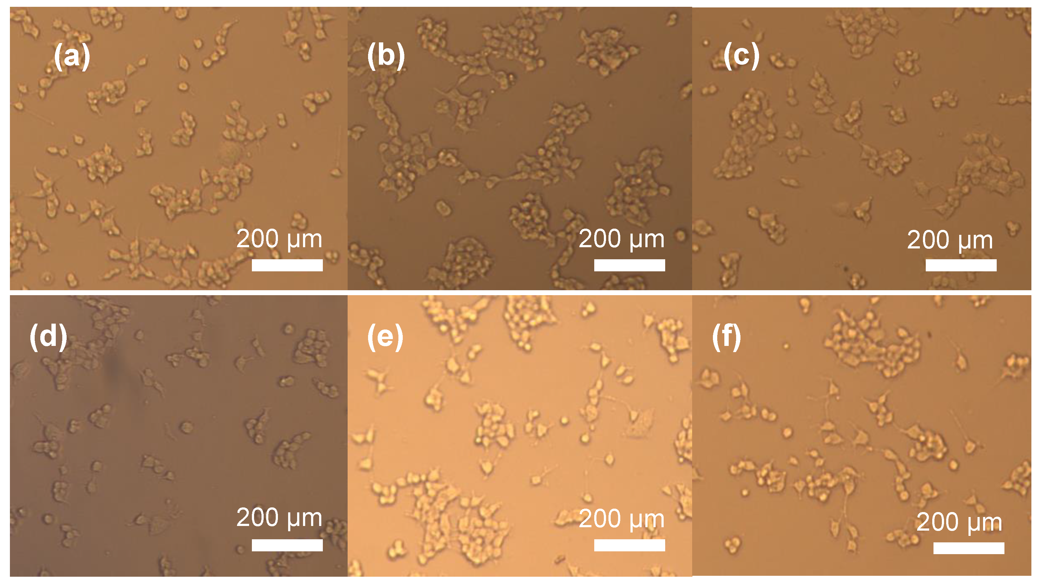 Biomimetics 08 00010 g012 Biomimetics 08 00010 g012