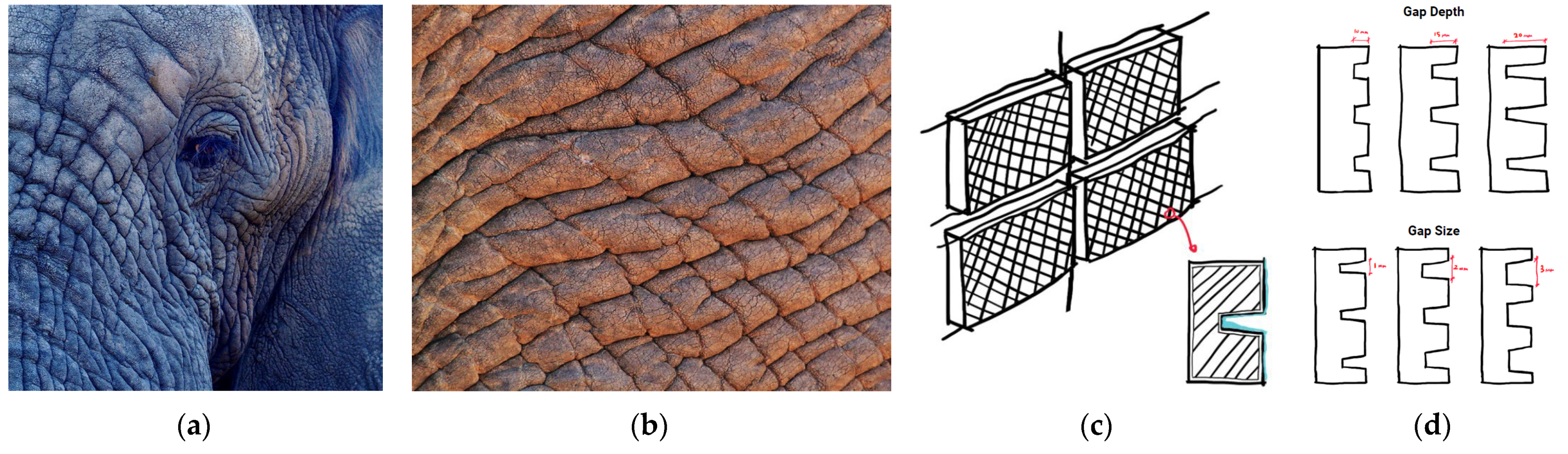 Biomimetics 08 00013 g002 Biomimetics 08 00013 g002
