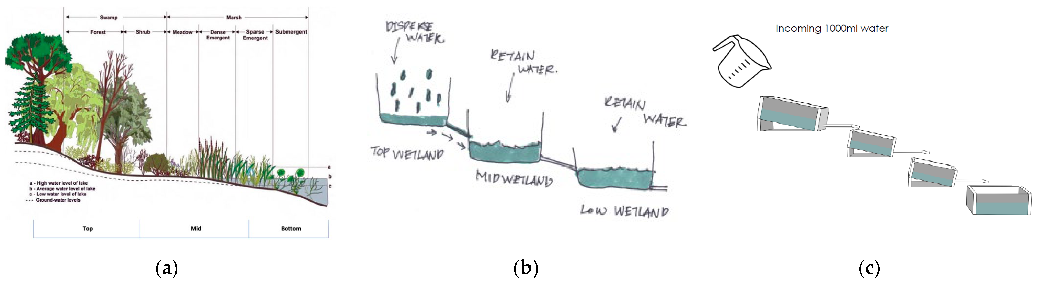 Biomimetics 08 00013 g006 Biomimetics 08 00013 g006