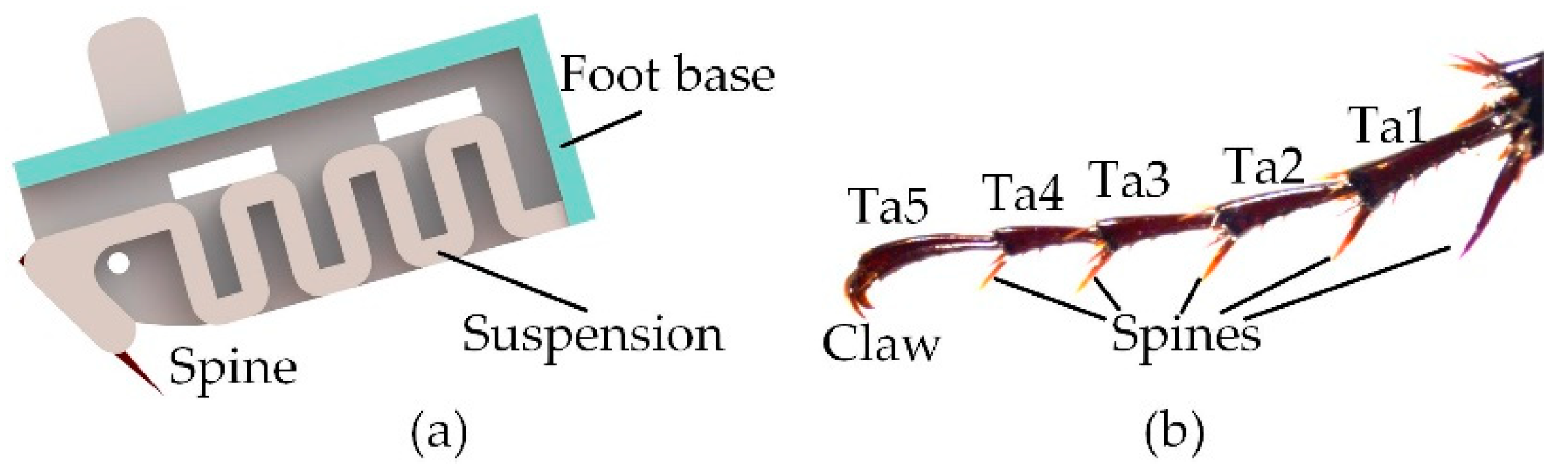 Biomimetics 08 00014 g003 Biomimetics 08 00014 g003
