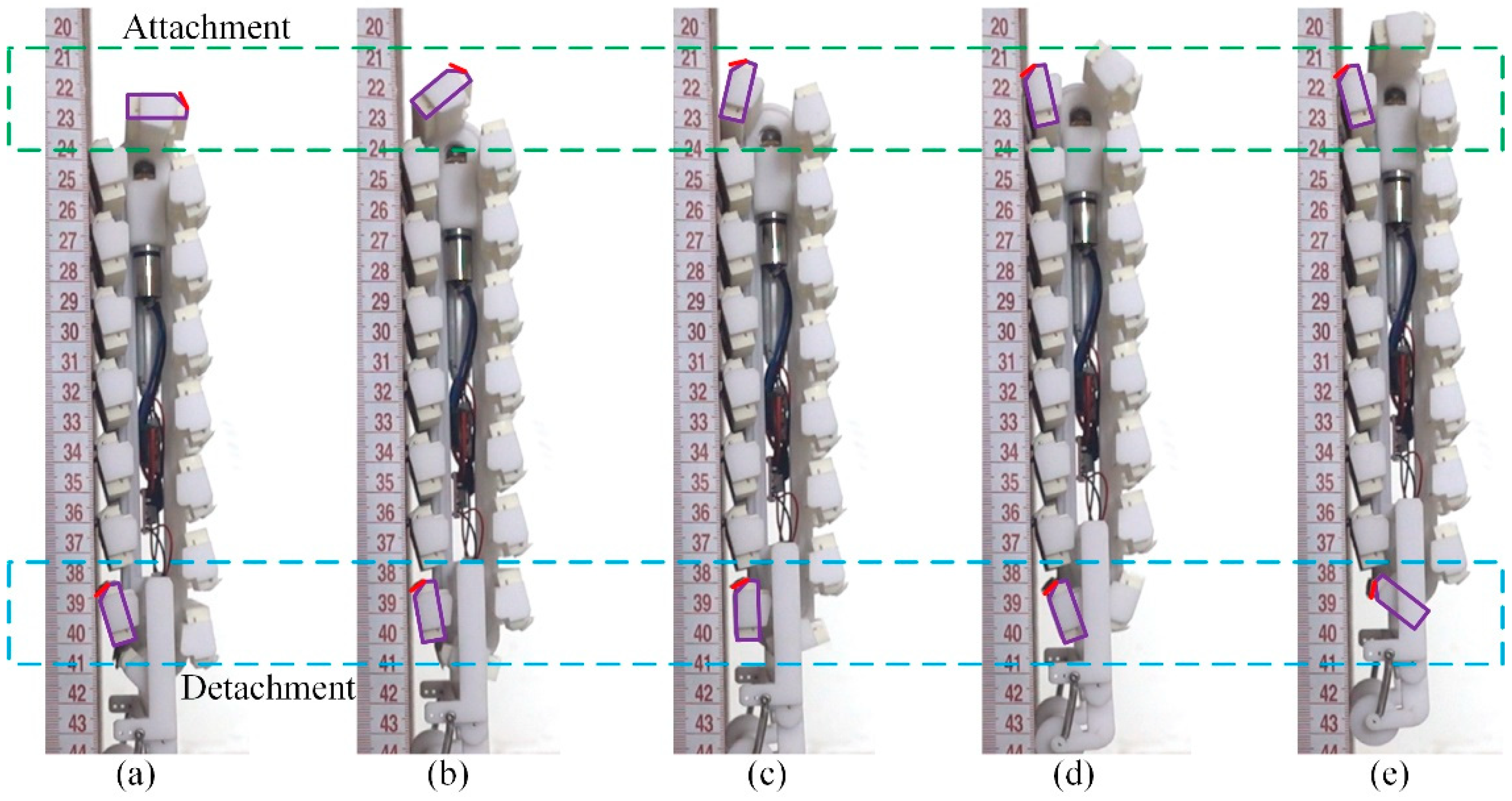 Biomimetics 08 00014 g015 Biomimetics 08 00014 g015