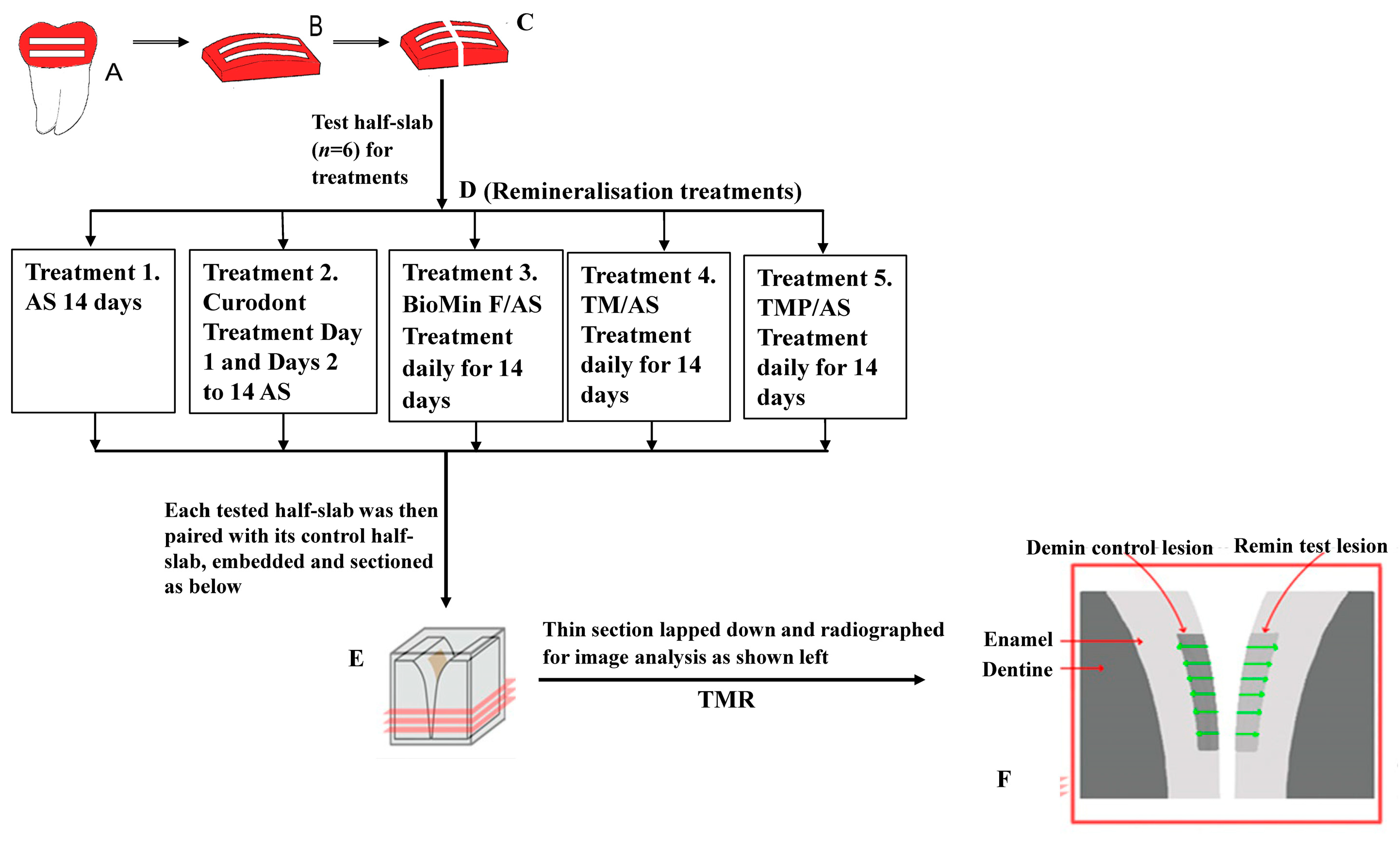 Biomimetics 08 00017 g001