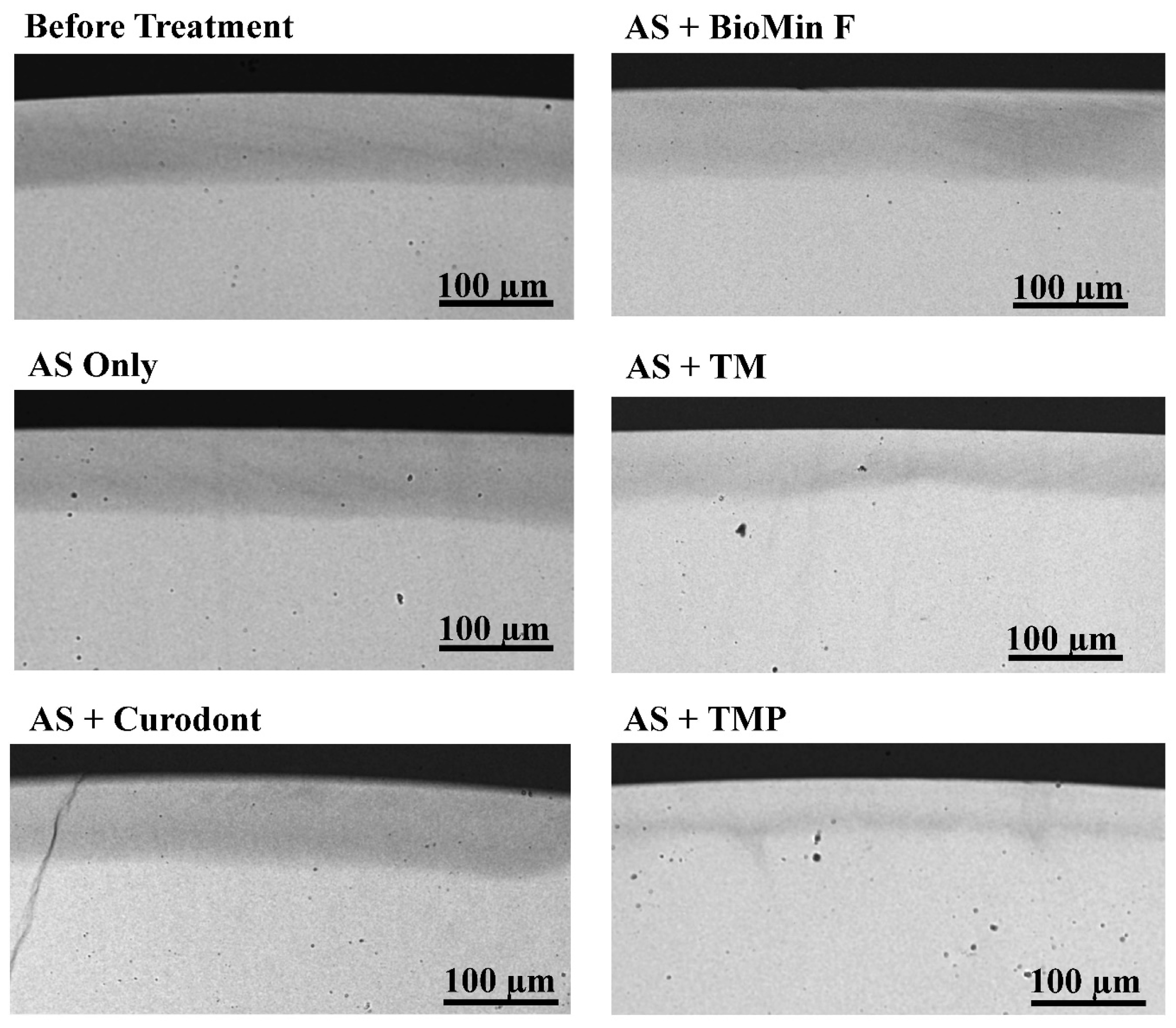 Biomimetics 08 00017 g002