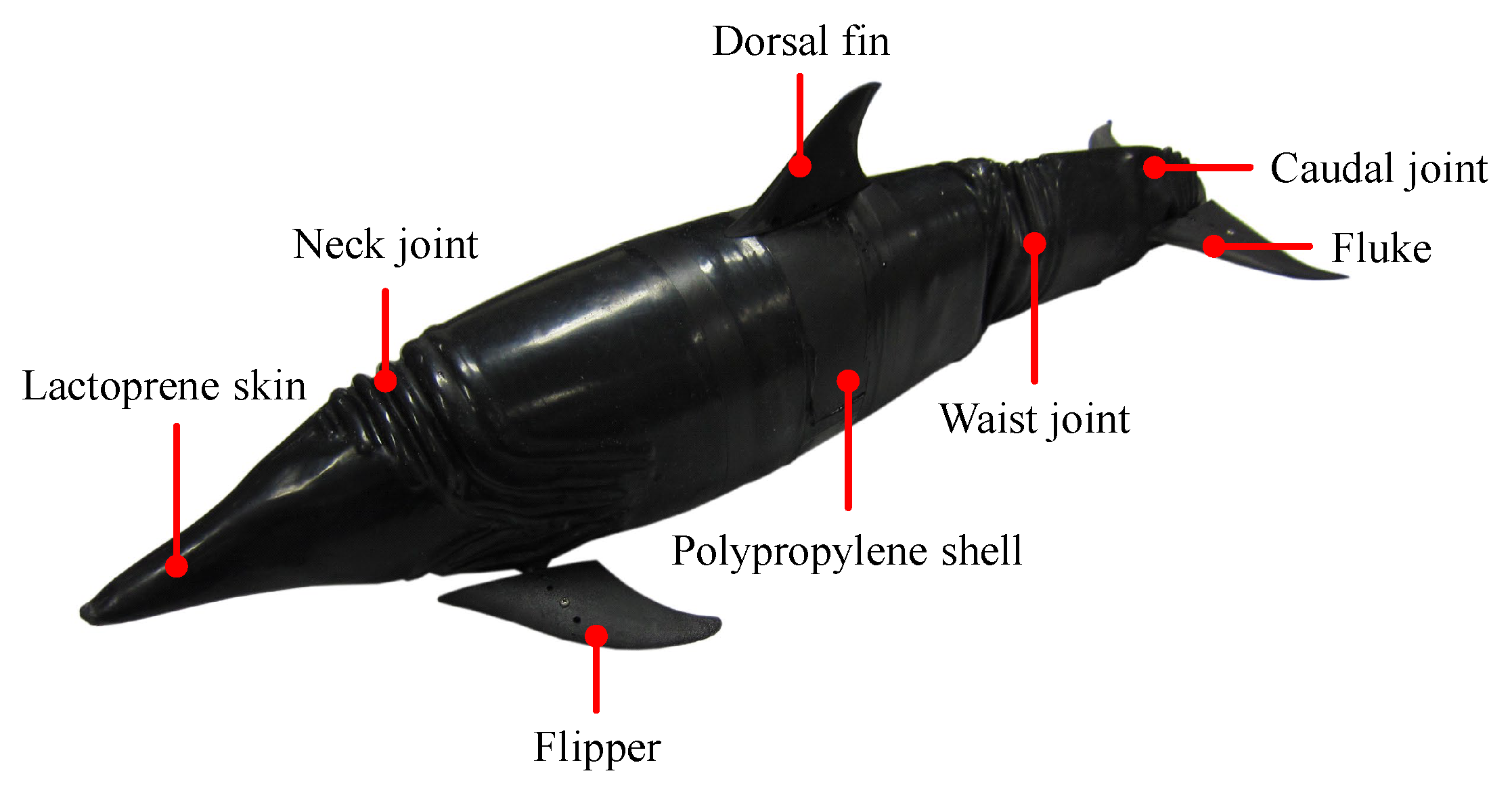 Biomimetics 08 00021 g002
