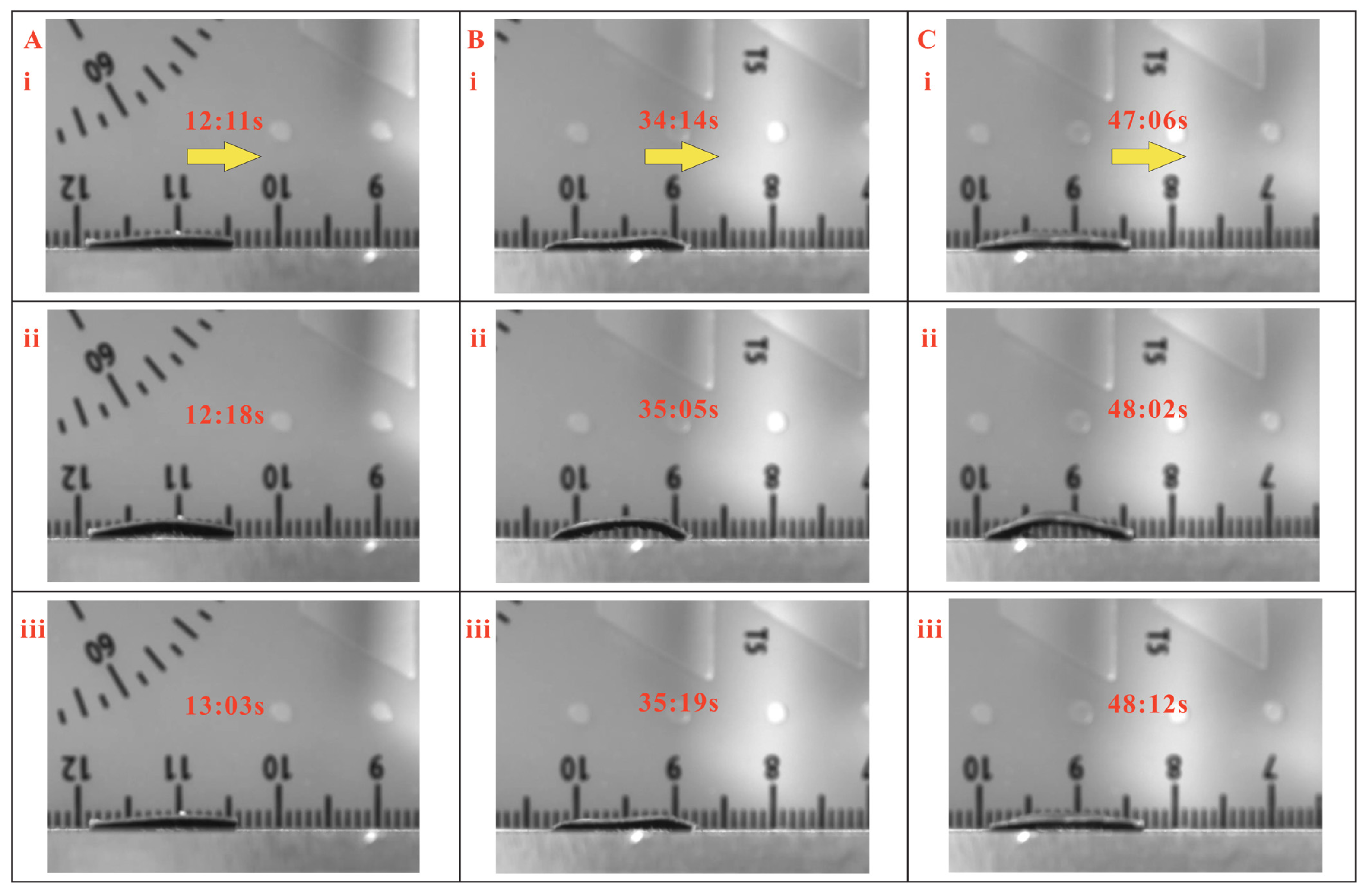 Biomimetics 08 00022 g005