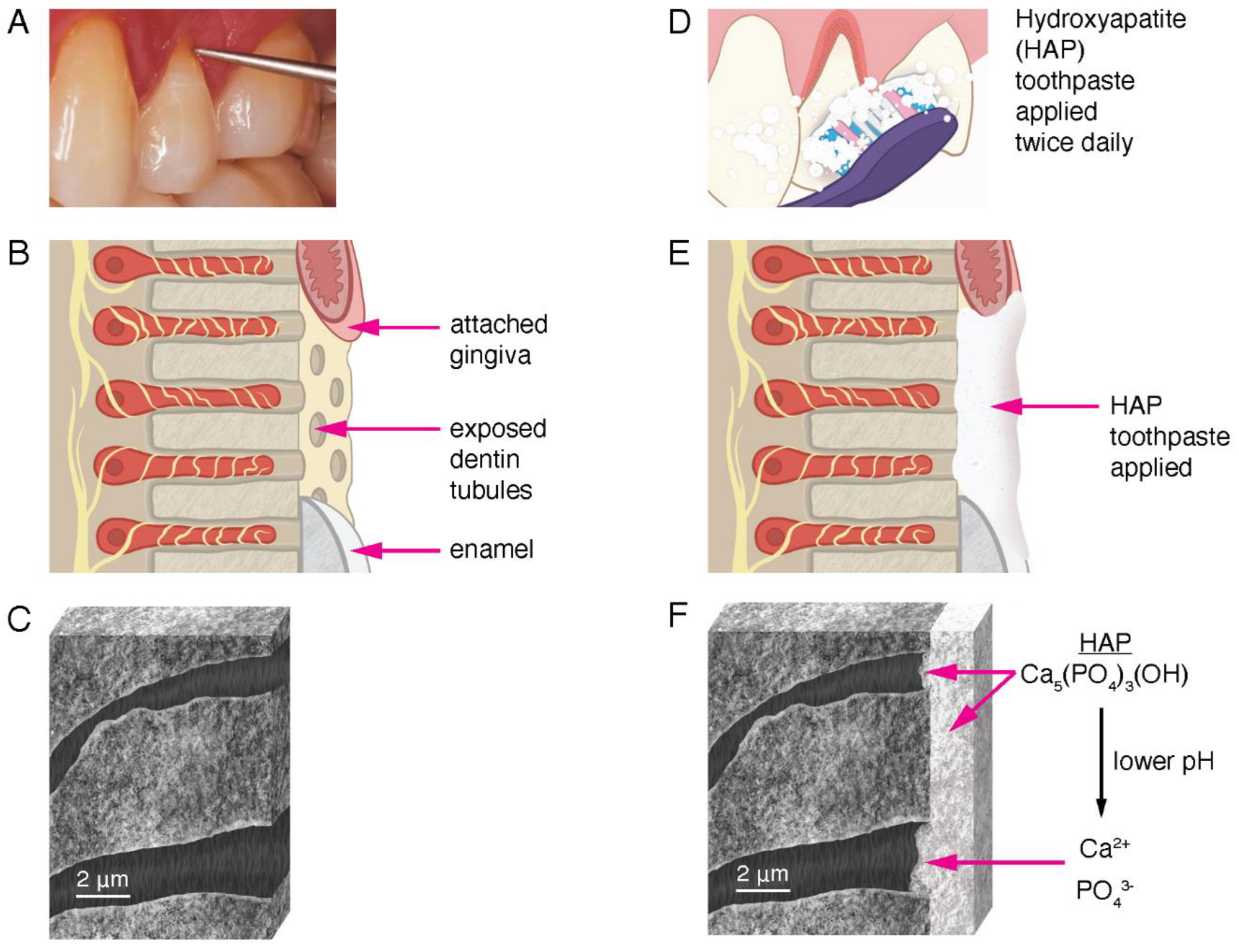 Biomimetics 08 00023 g005
