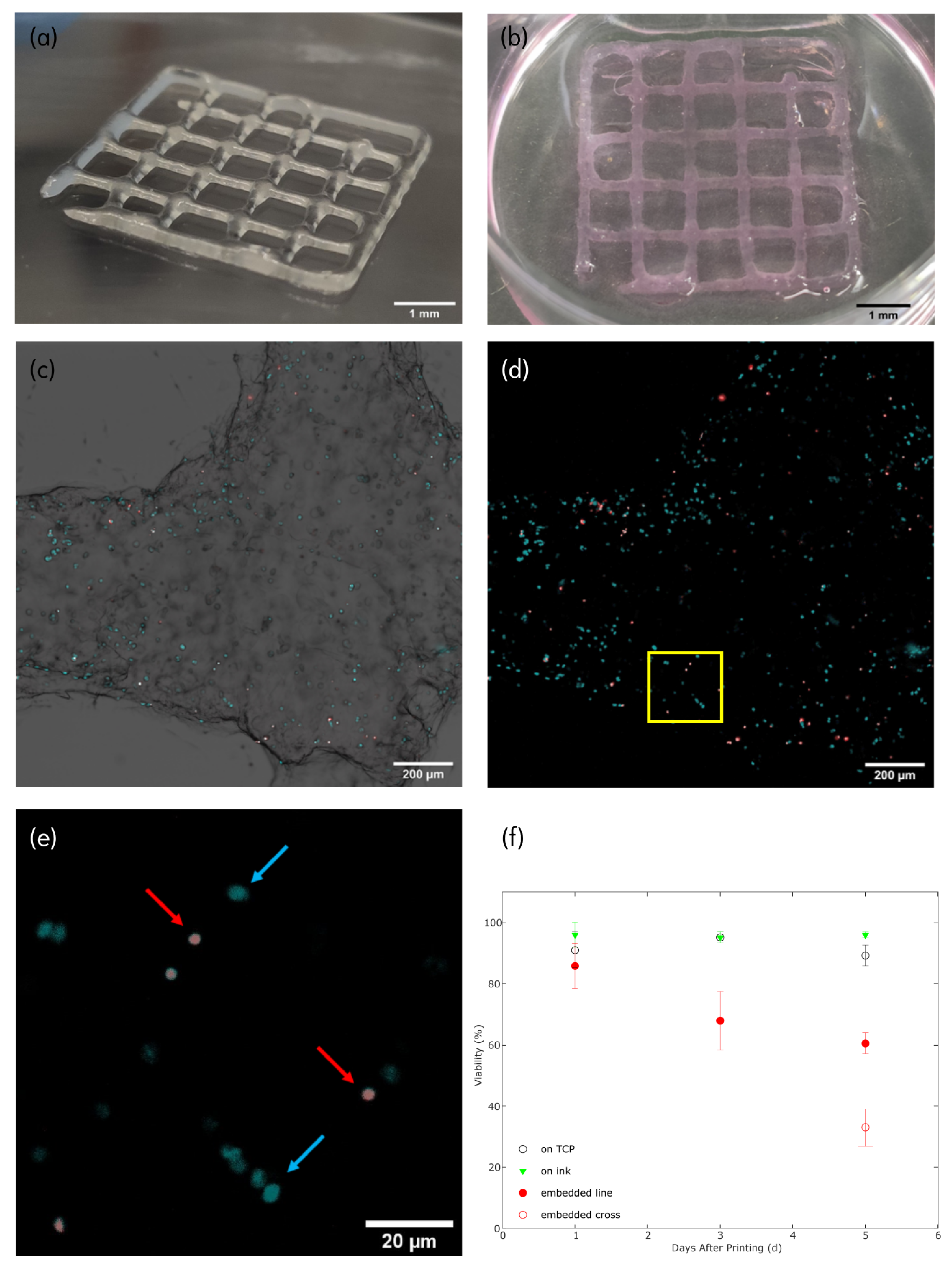 Biomimetics 08 00027 g002