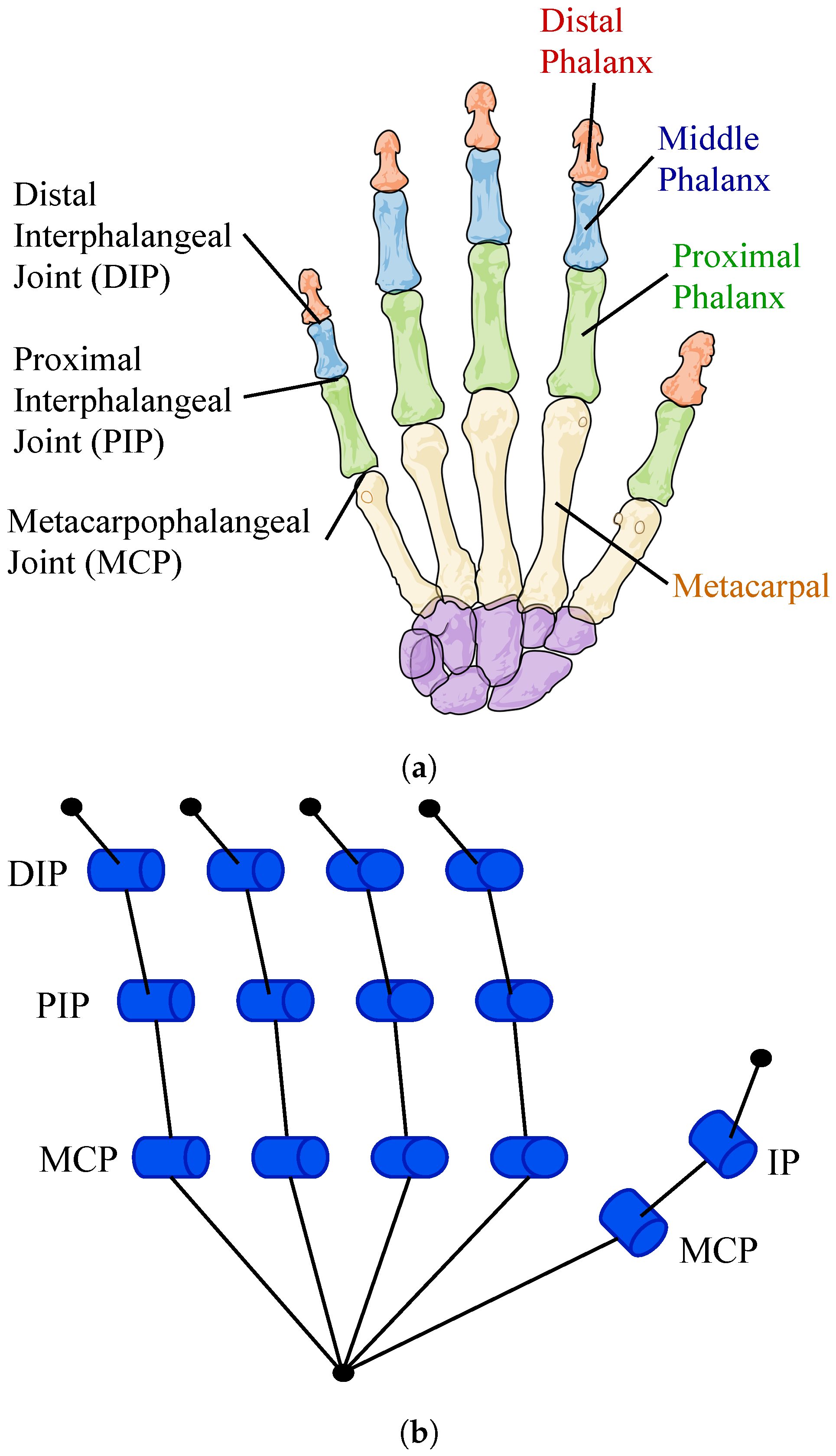 Biomimetics 08 00029 g001