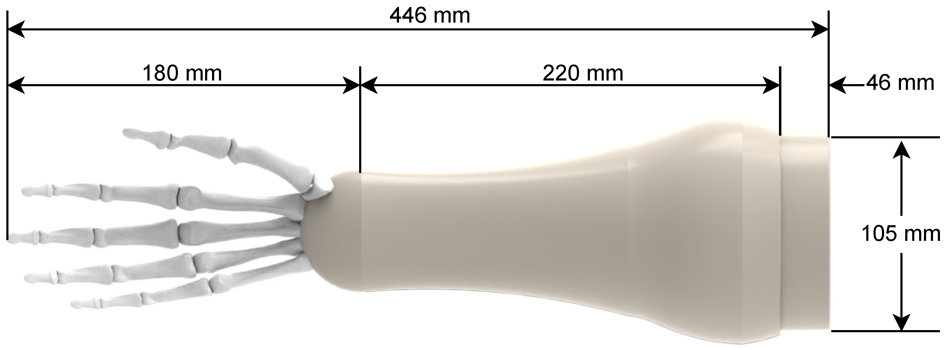 Biomimetics 08 00029 g004