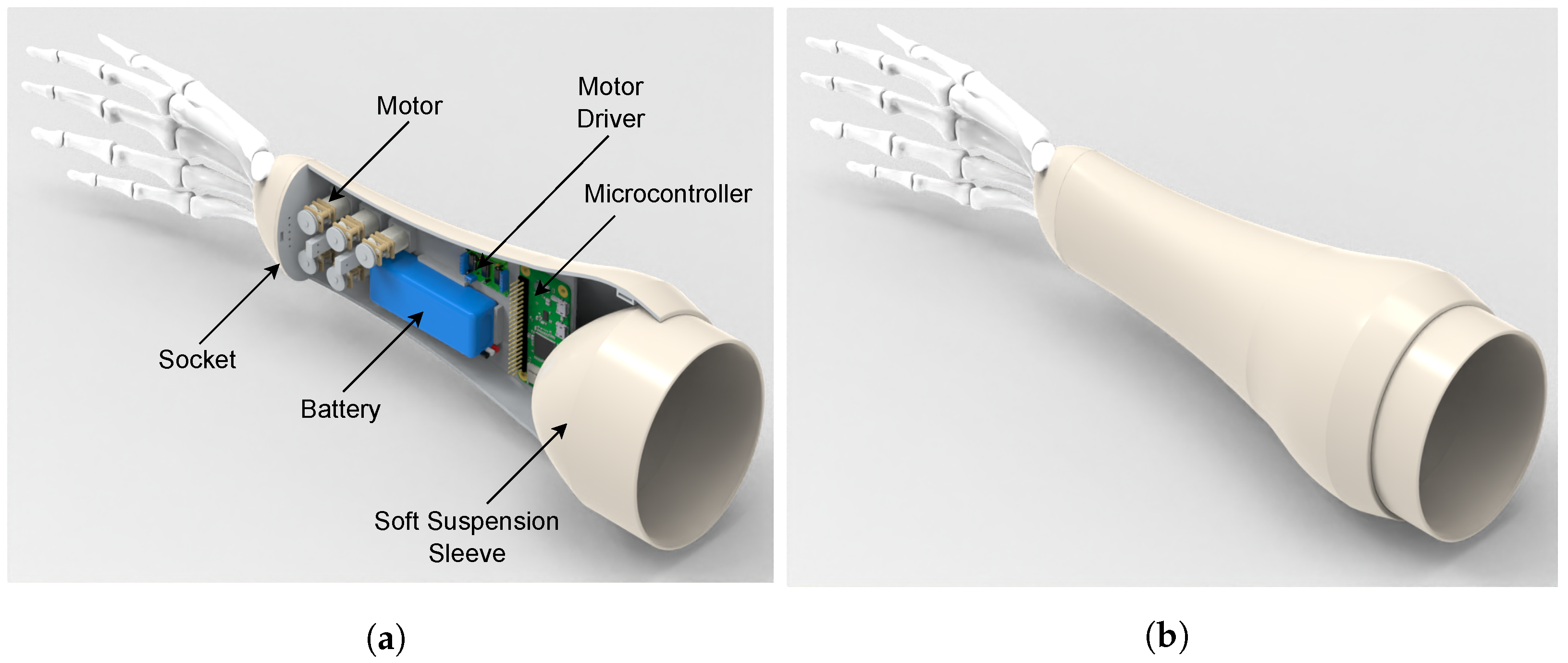 Biomimetics 08 00029 g005