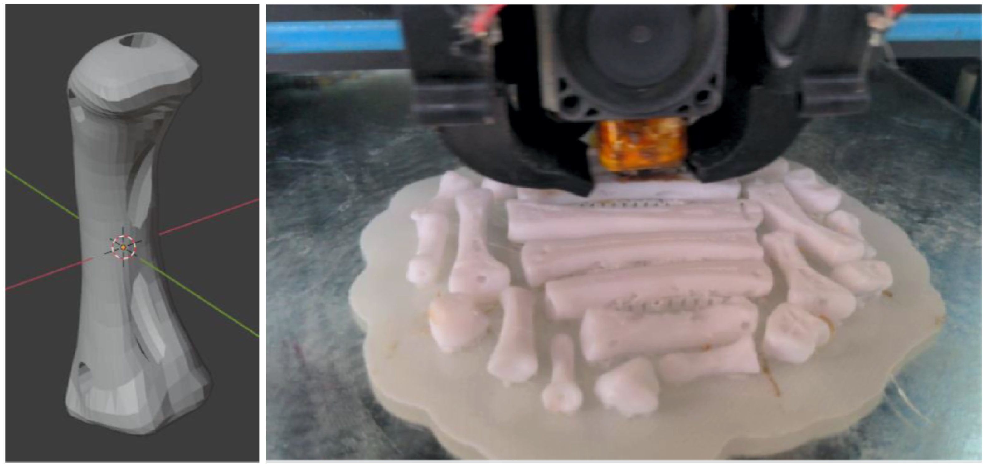 Biomimetics 08 00029 g006