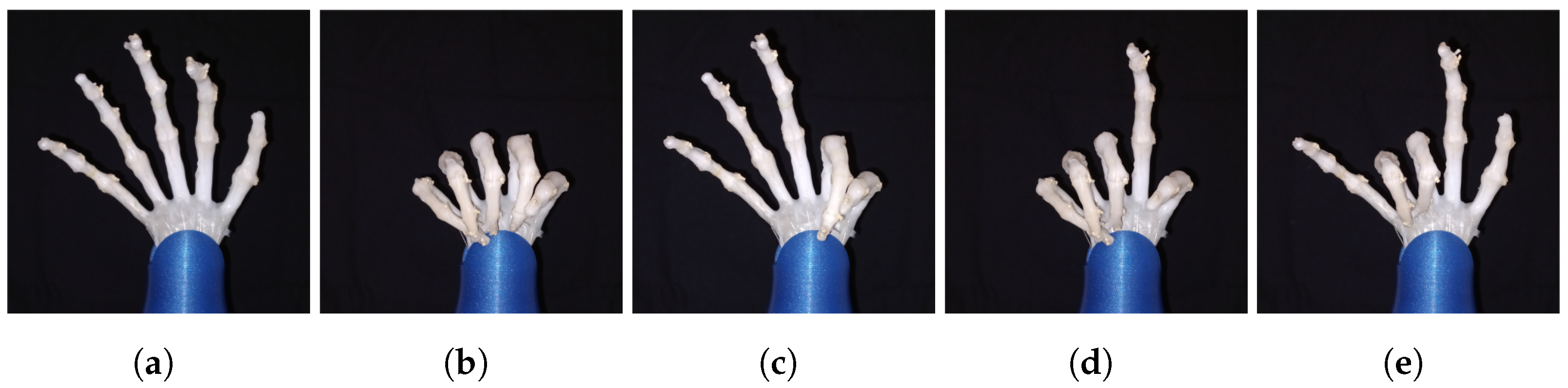 Biomimetics 08 00029 g010