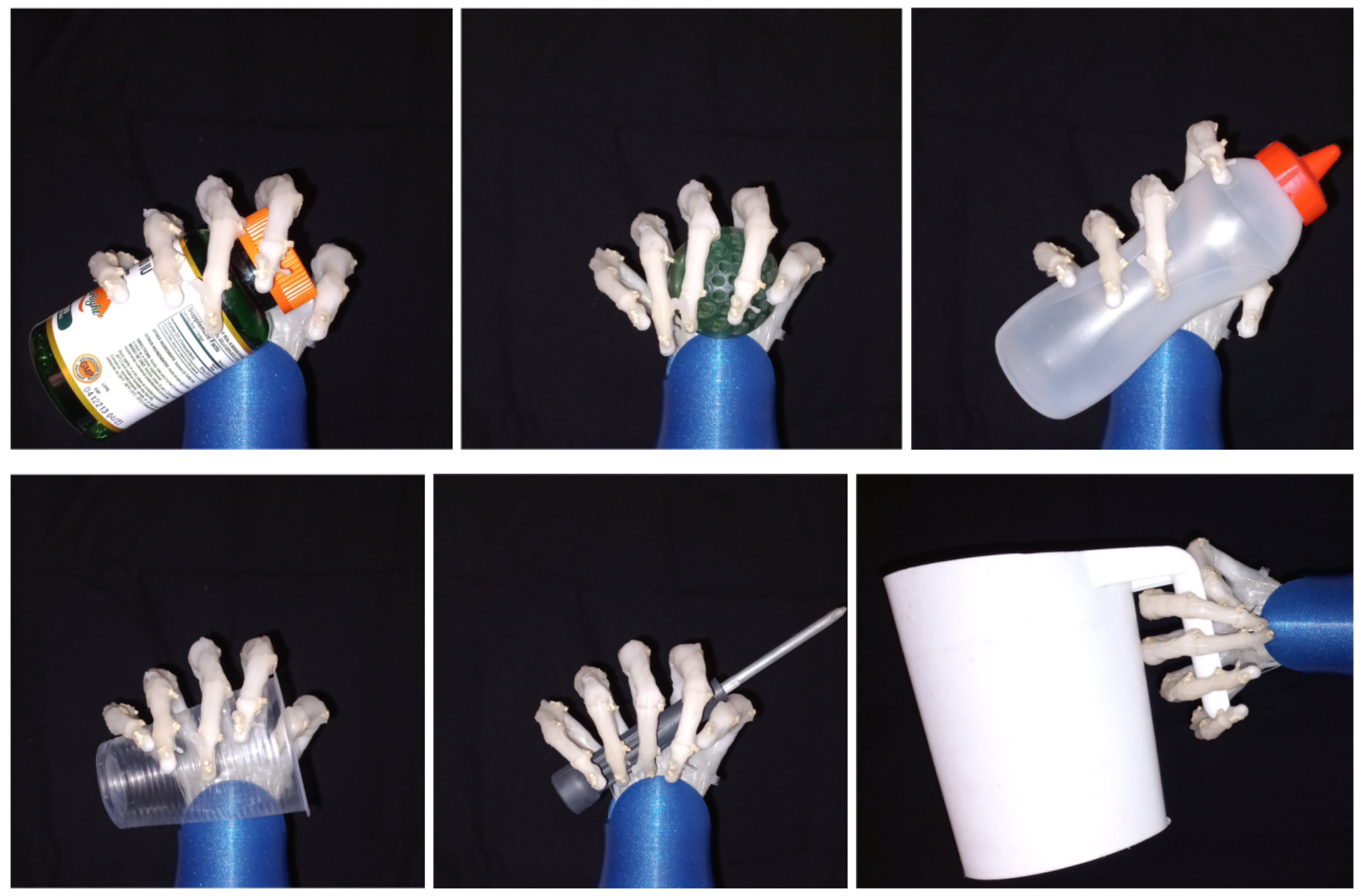 Biomimetics 08 00029 g011