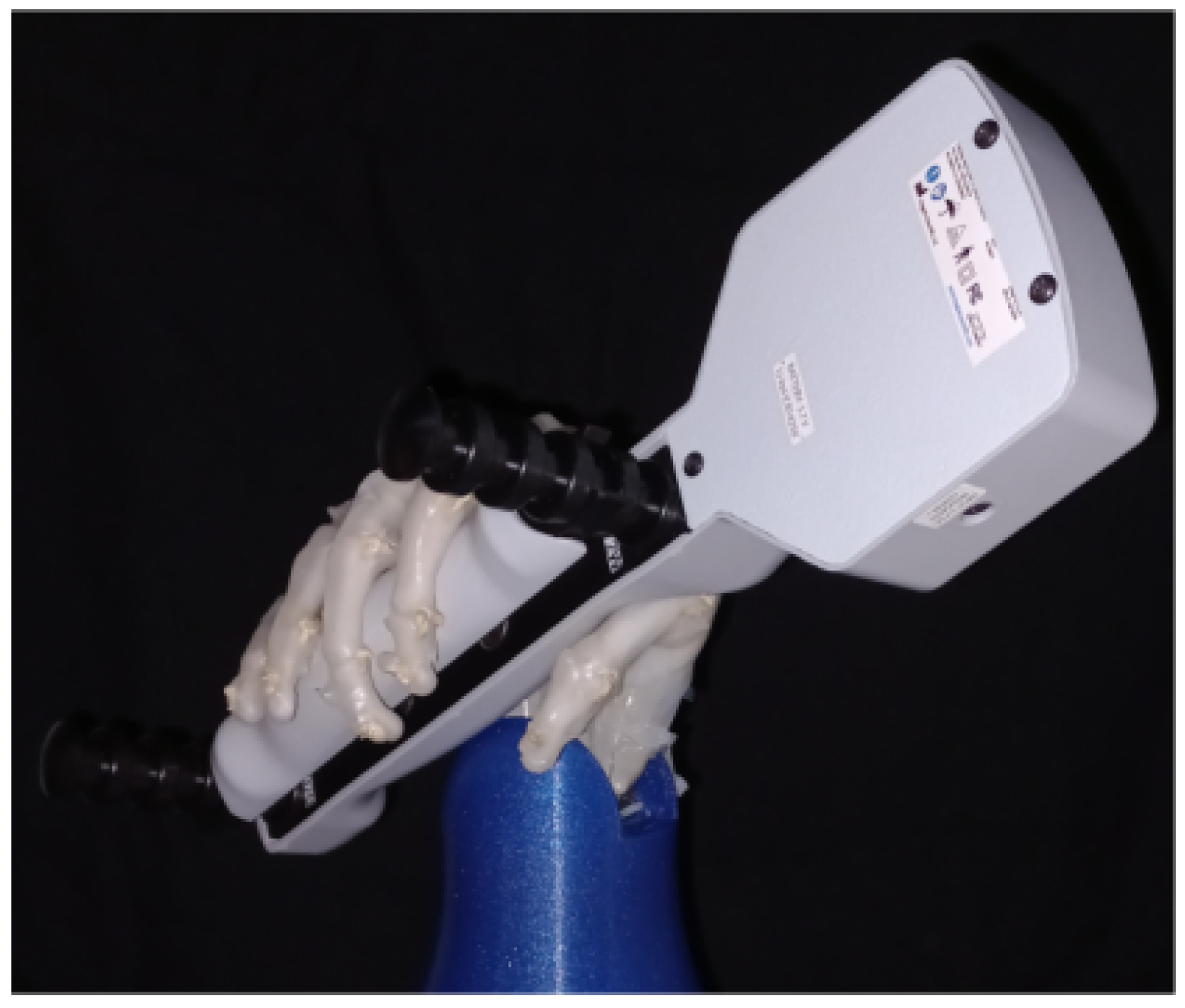 Biomimetics 08 00029 g013