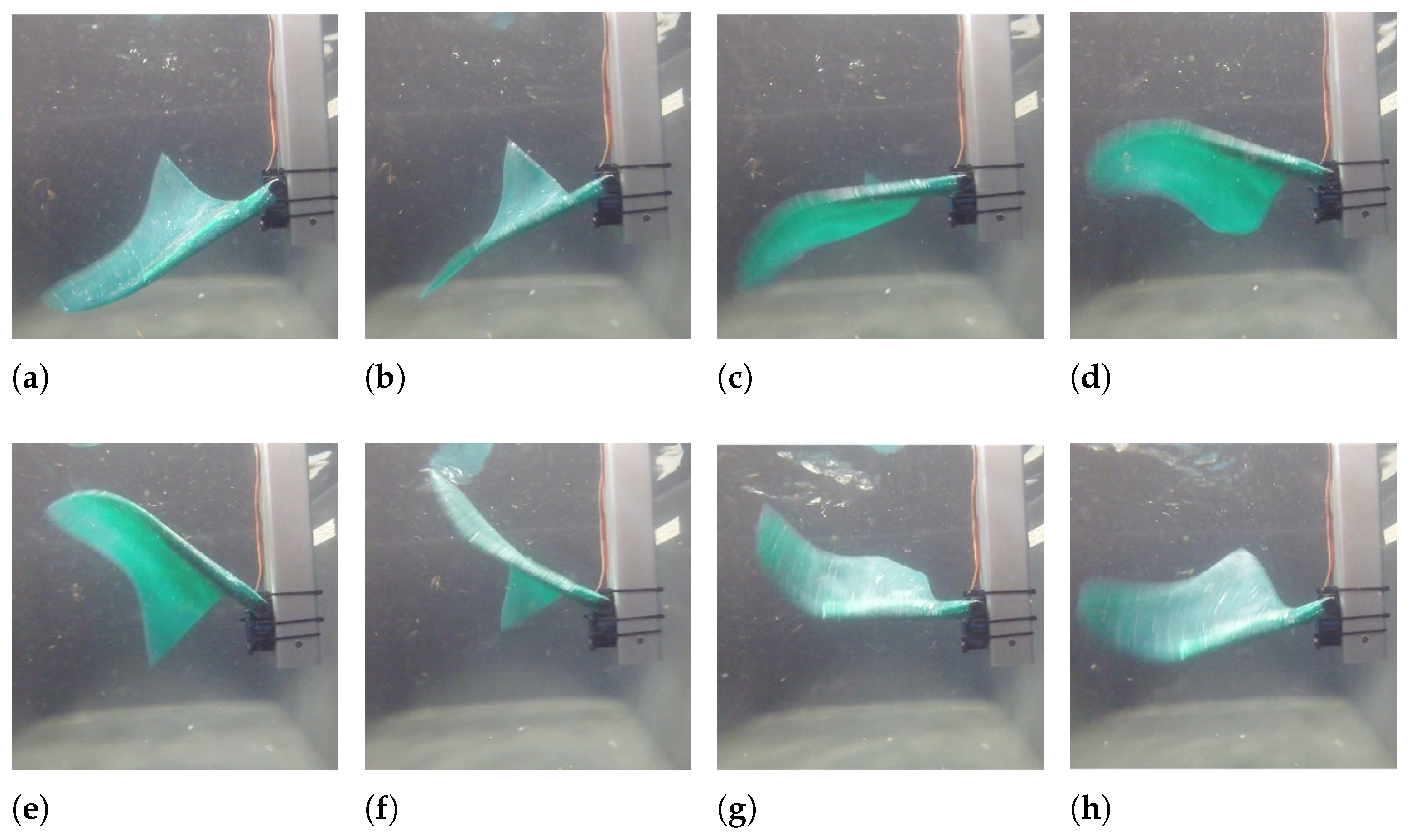 Biomimetics 08 00030 g009