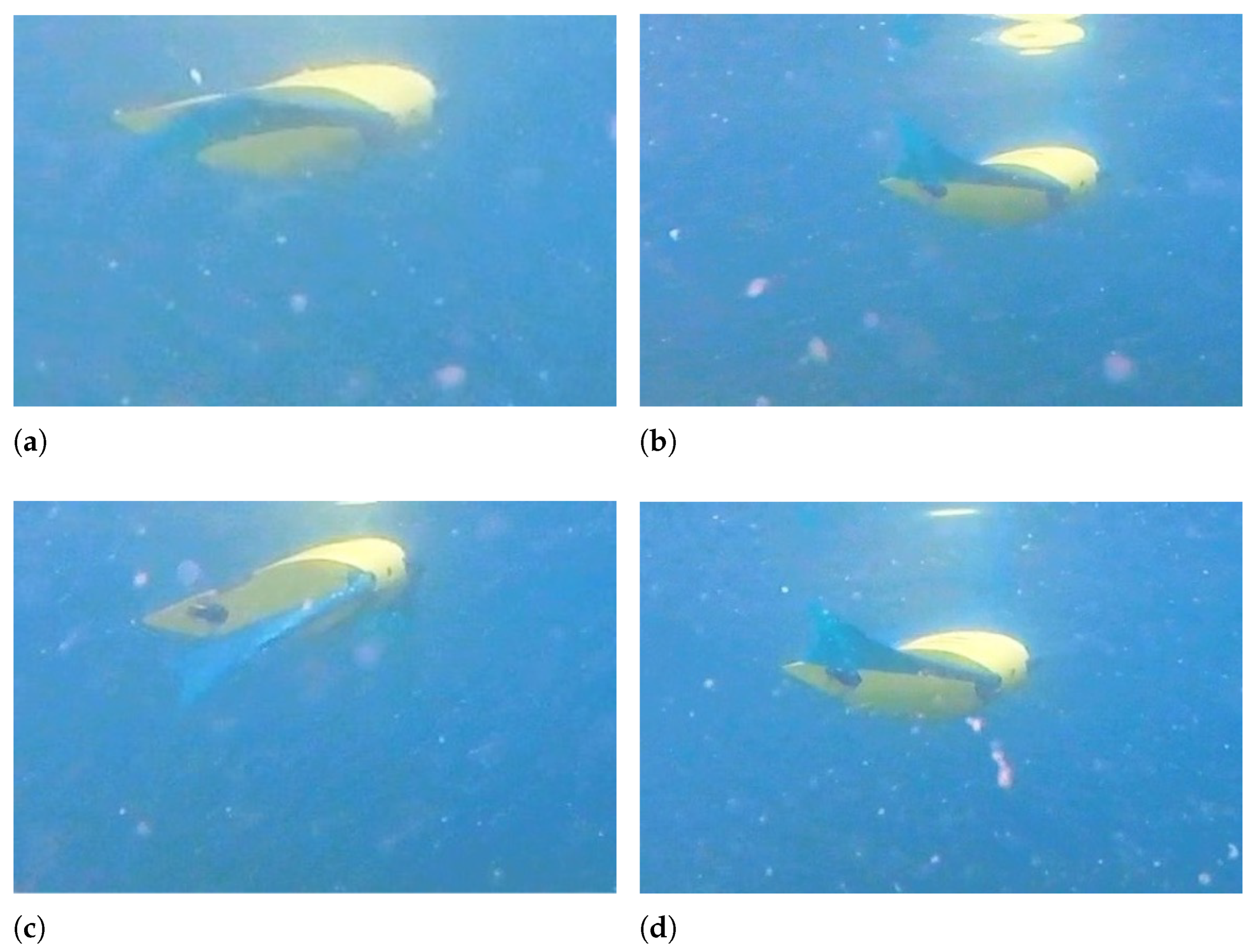 Biomimetics 08 00030 g010