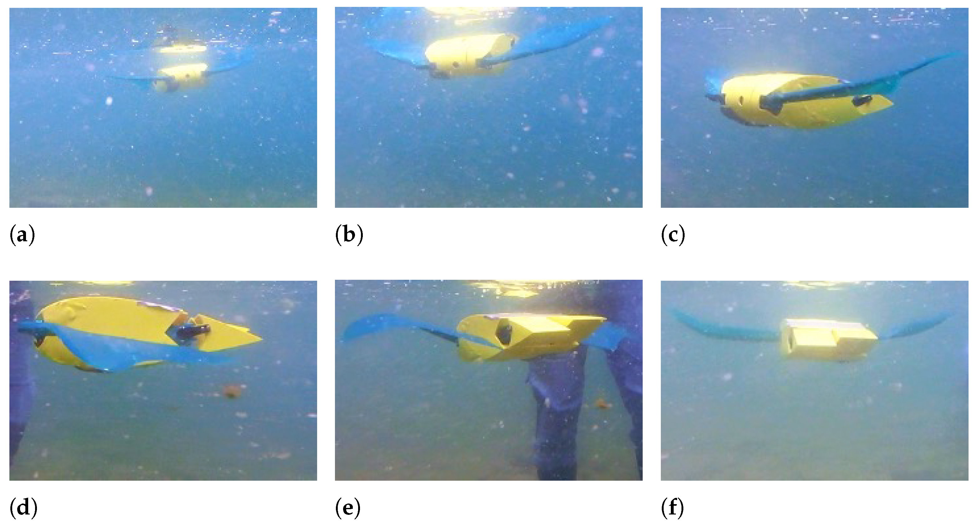 Biomimetics 08 00030 g015