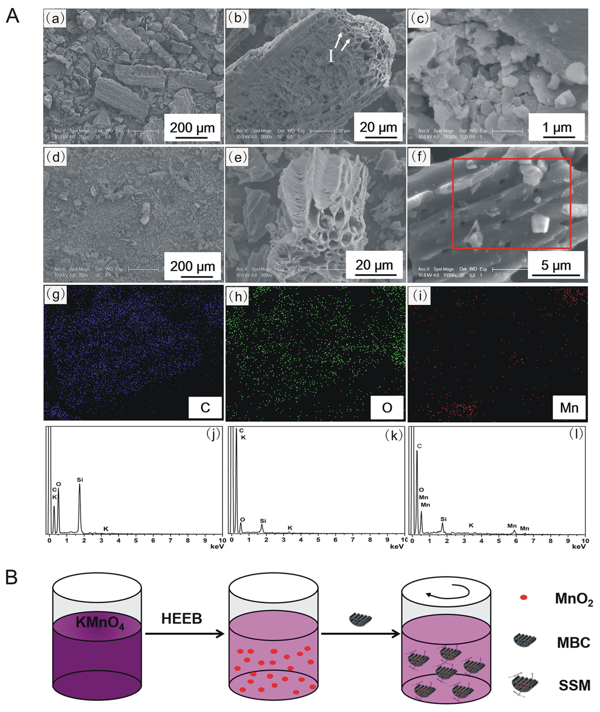 Biomimetics 08 00032 g001