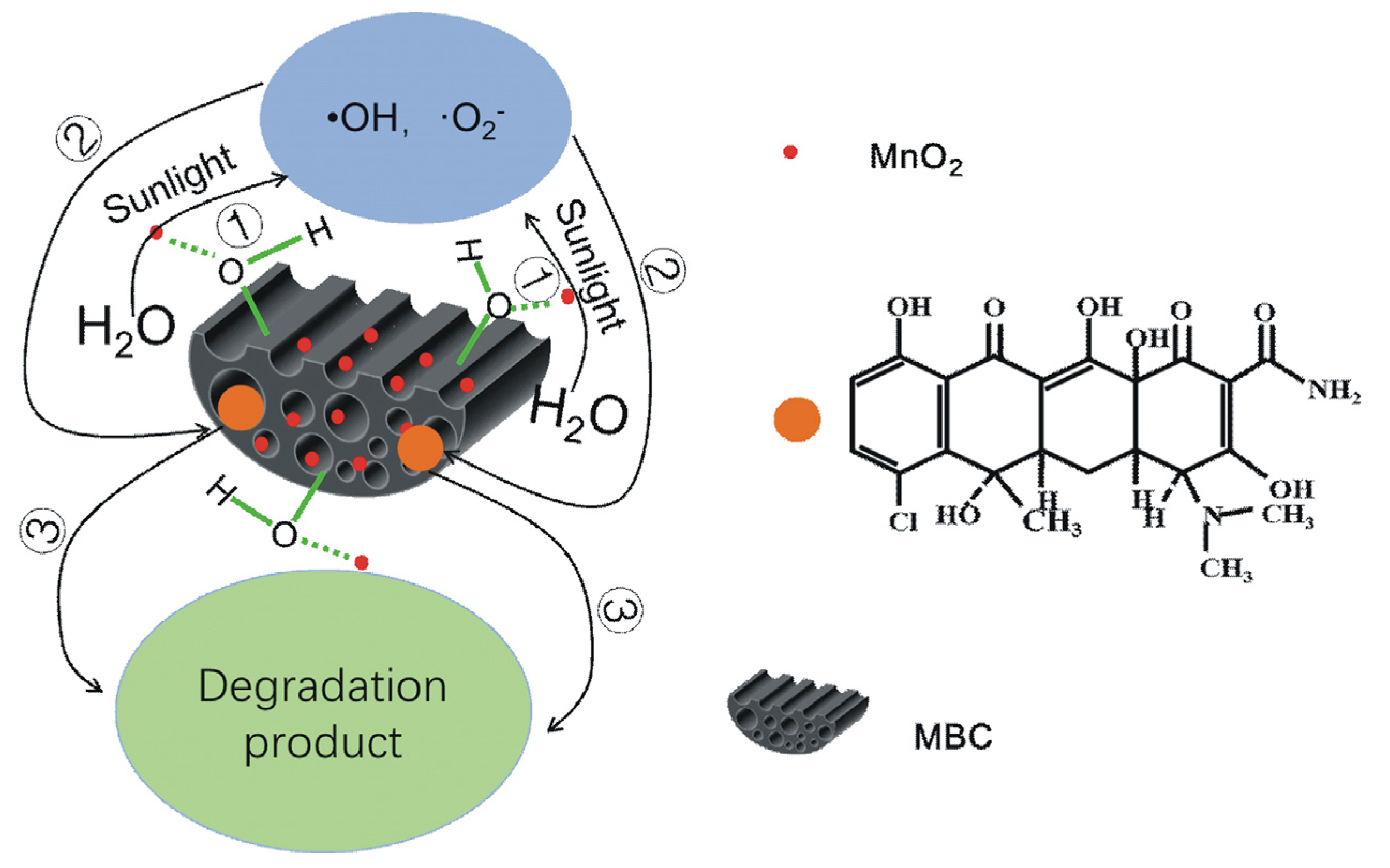 Biomimetics 08 00032 g007