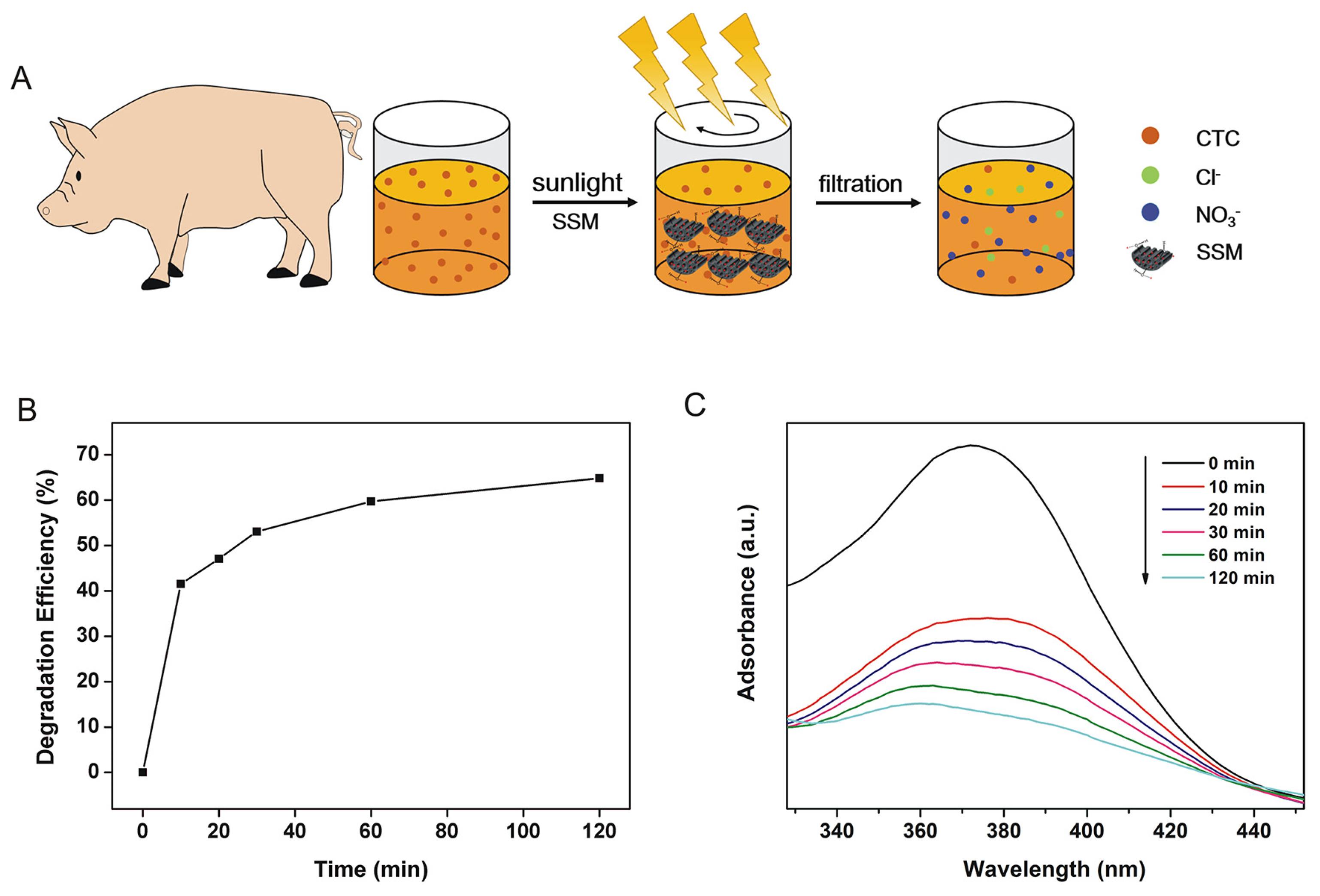 Biomimetics 08 00032 g008