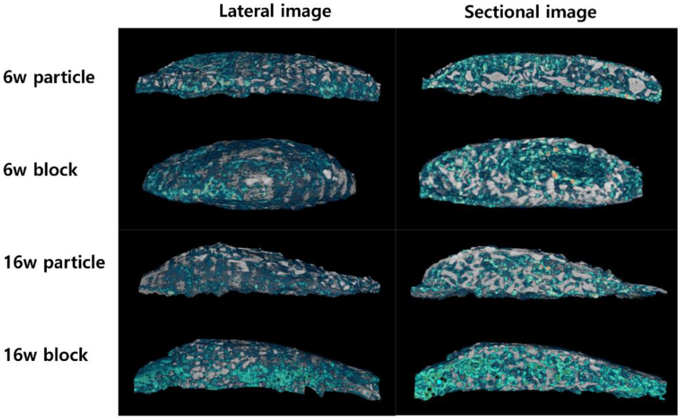 Biomimetics 08 00033 g002