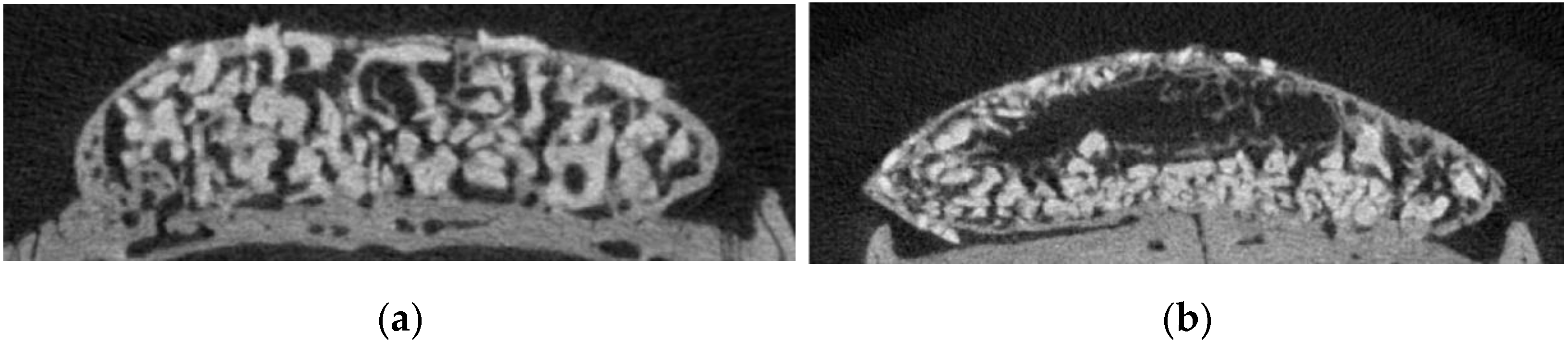 Biomimetics 08 00033 g003a