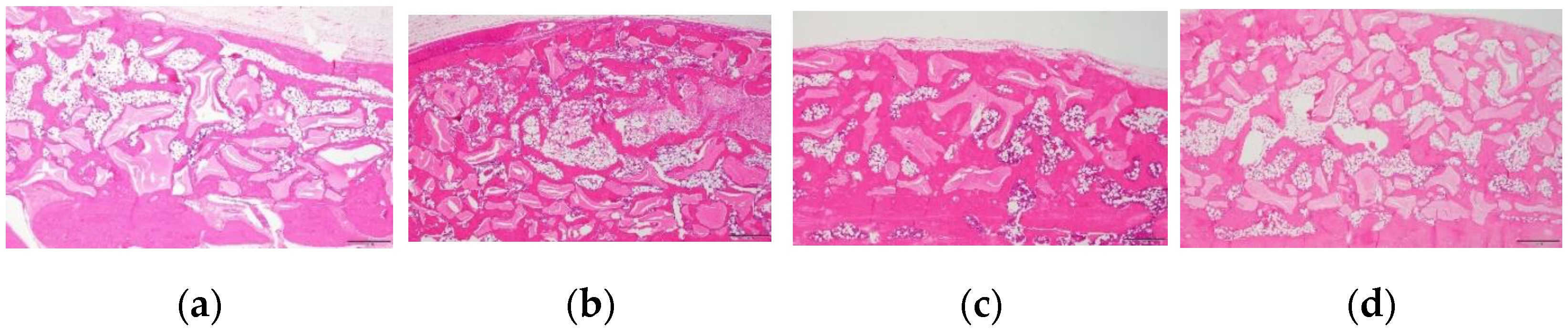 Biomimetics 08 00033 g004a