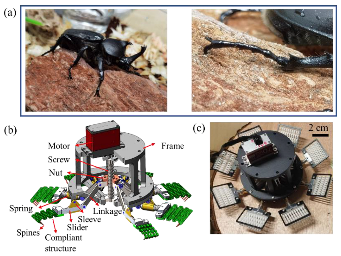 Biomimetics 08 00039 g001