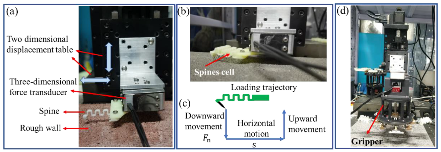 Biomimetics 08 00039 g005