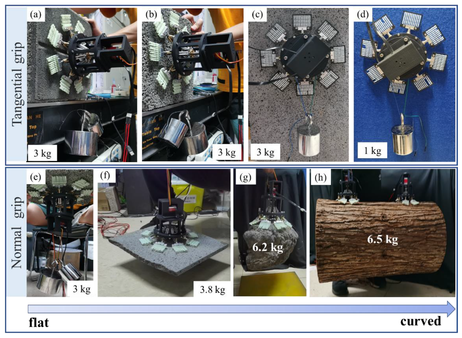 Biomimetics 08 00039 g010