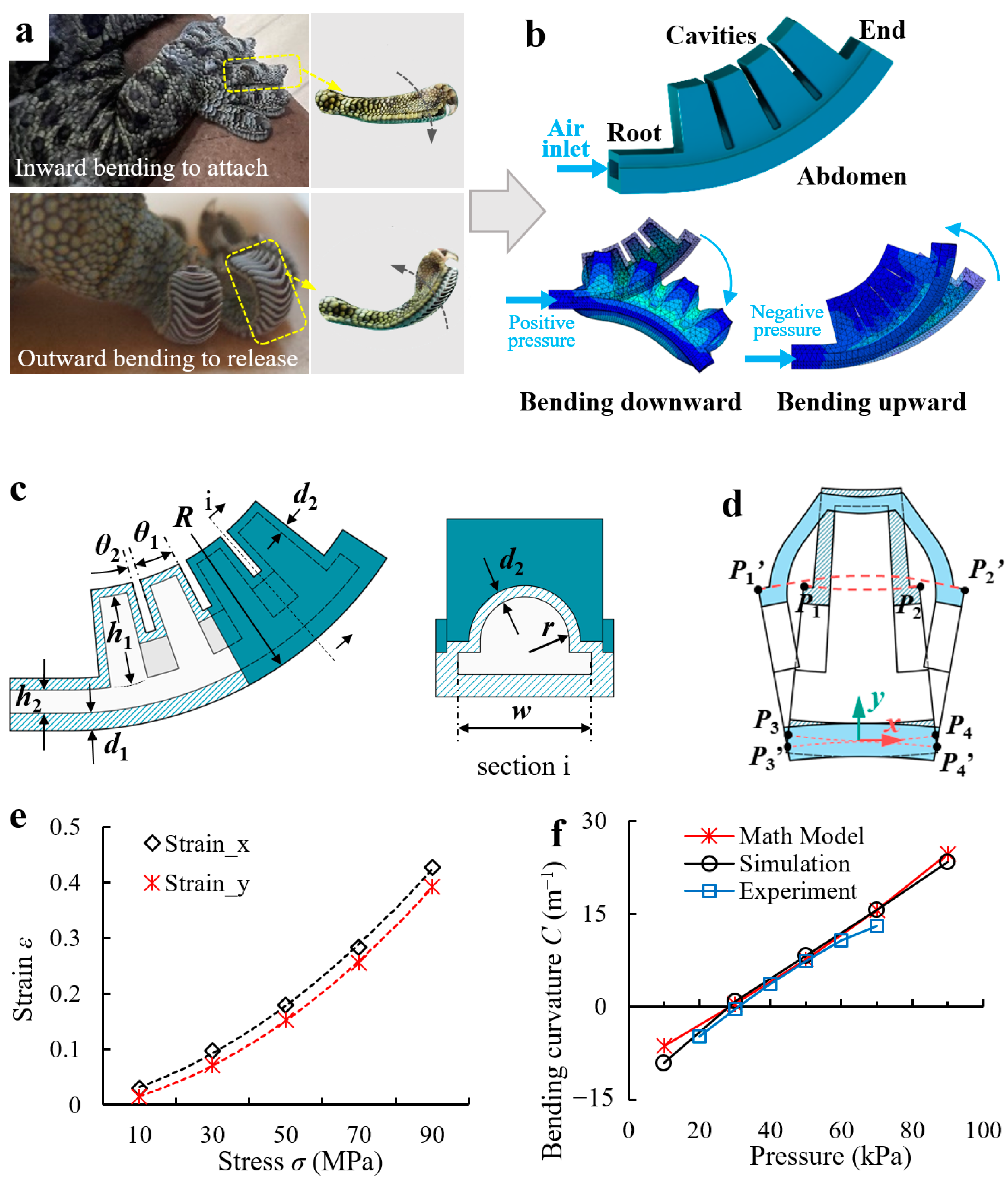 Biomimetics 08 00040 g001 Biomimetics 08 00040 g001