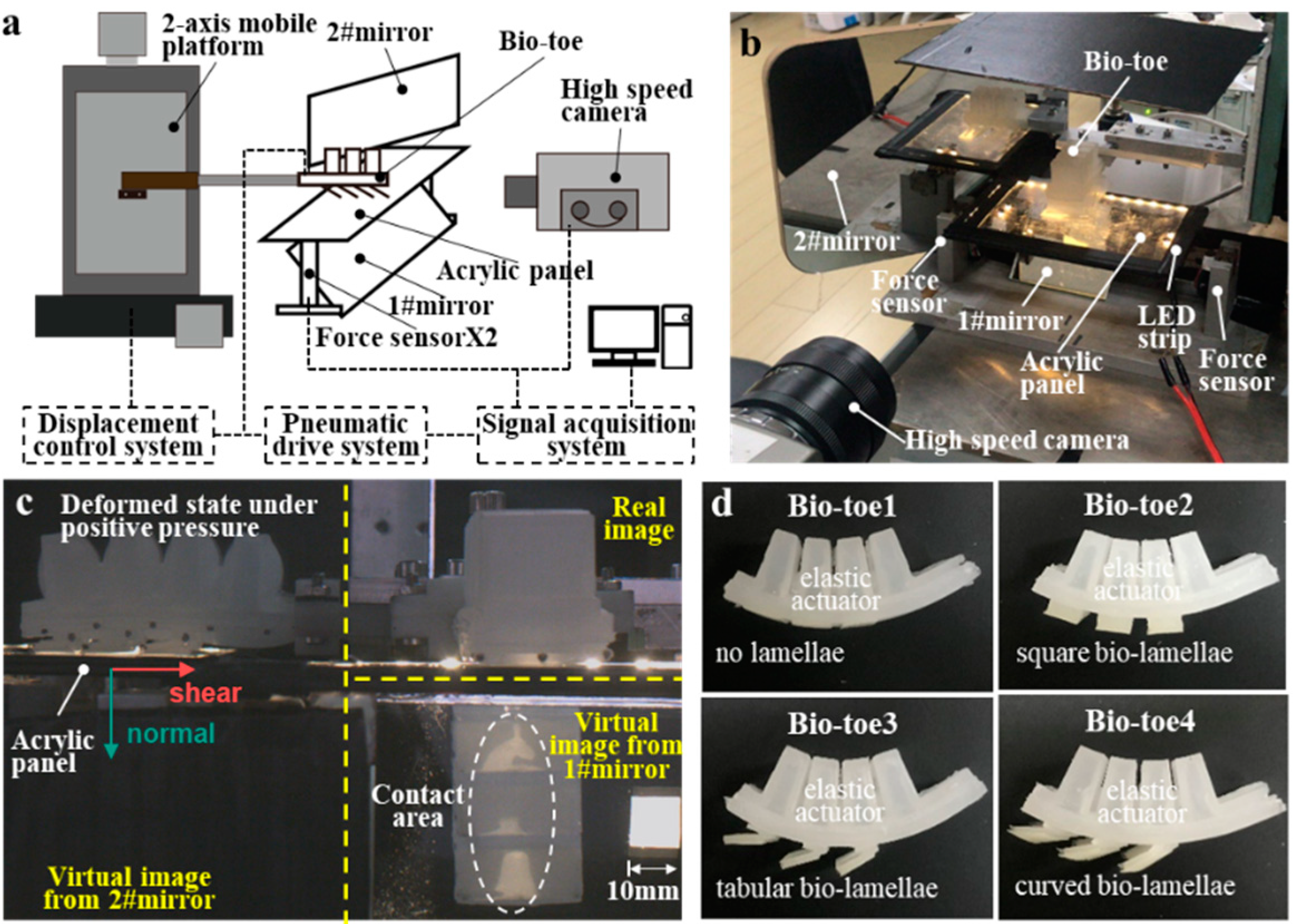Biomimetics 08 00040 g005 Biomimetics 08 00040 g005