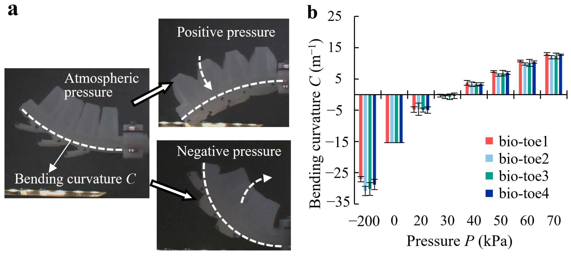 Biomimetics 08 00040 g006 Biomimetics 08 00040 g006