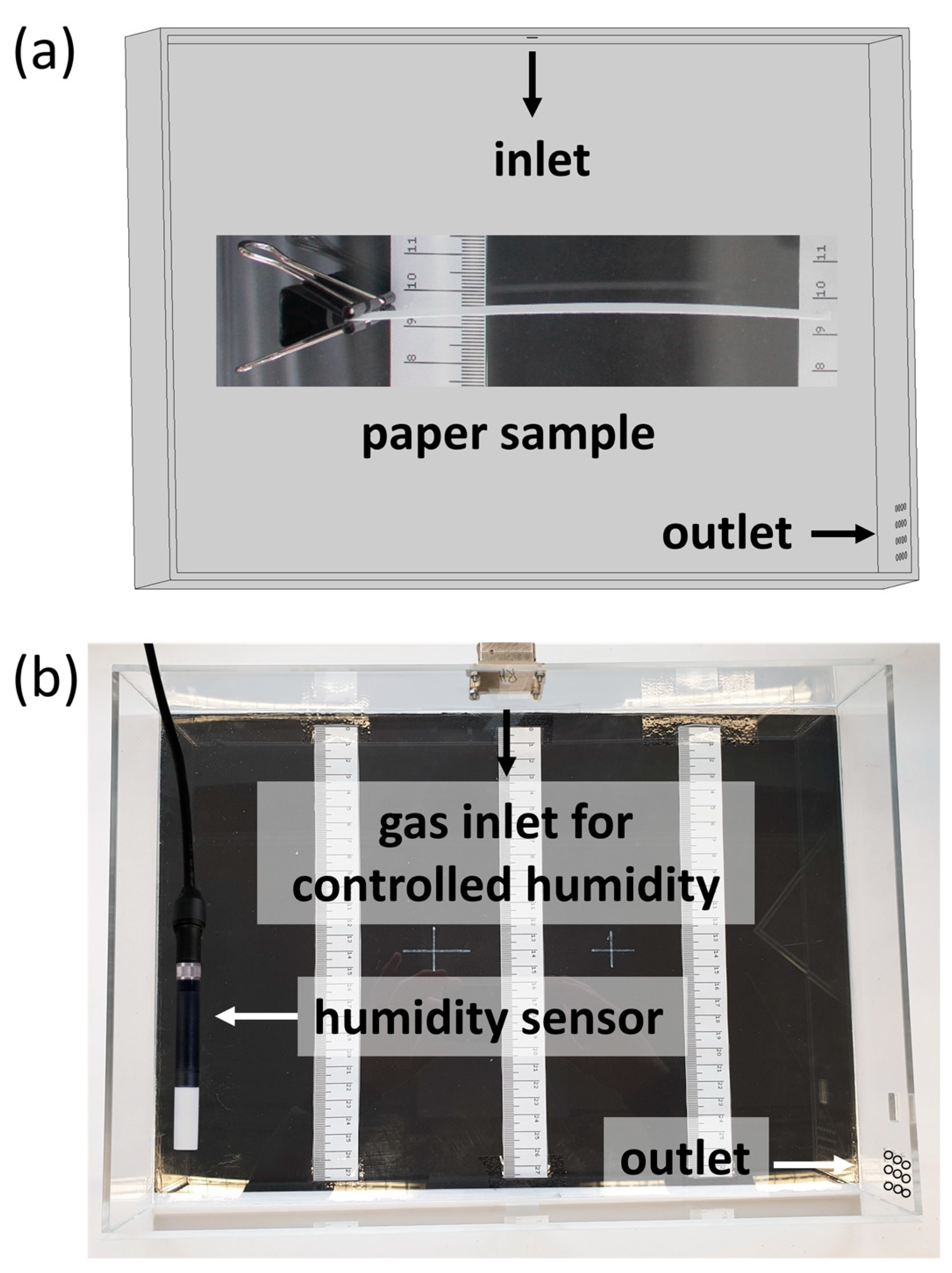 Biomimetics 08 00043 g001