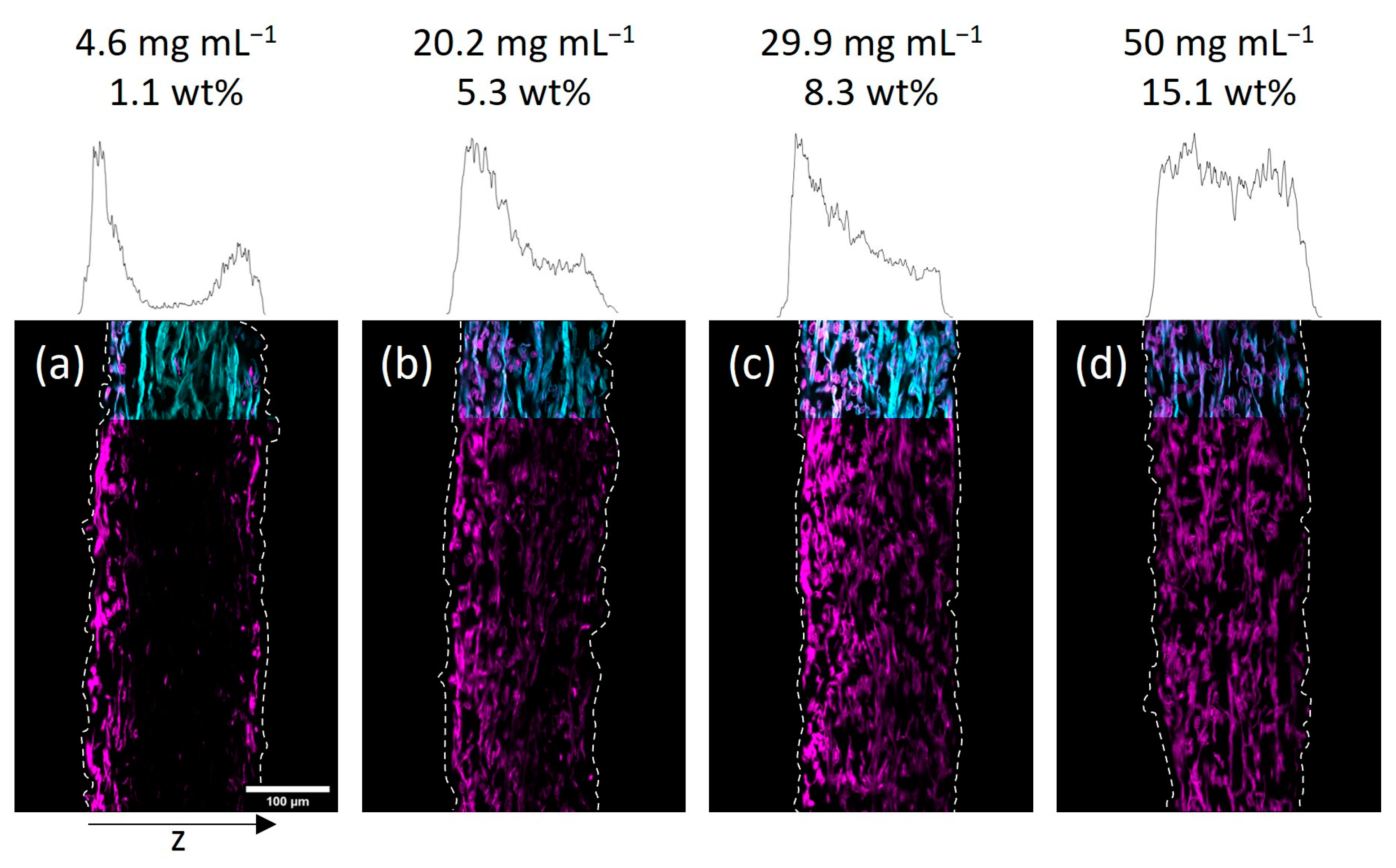 Biomimetics 08 00043 g003
