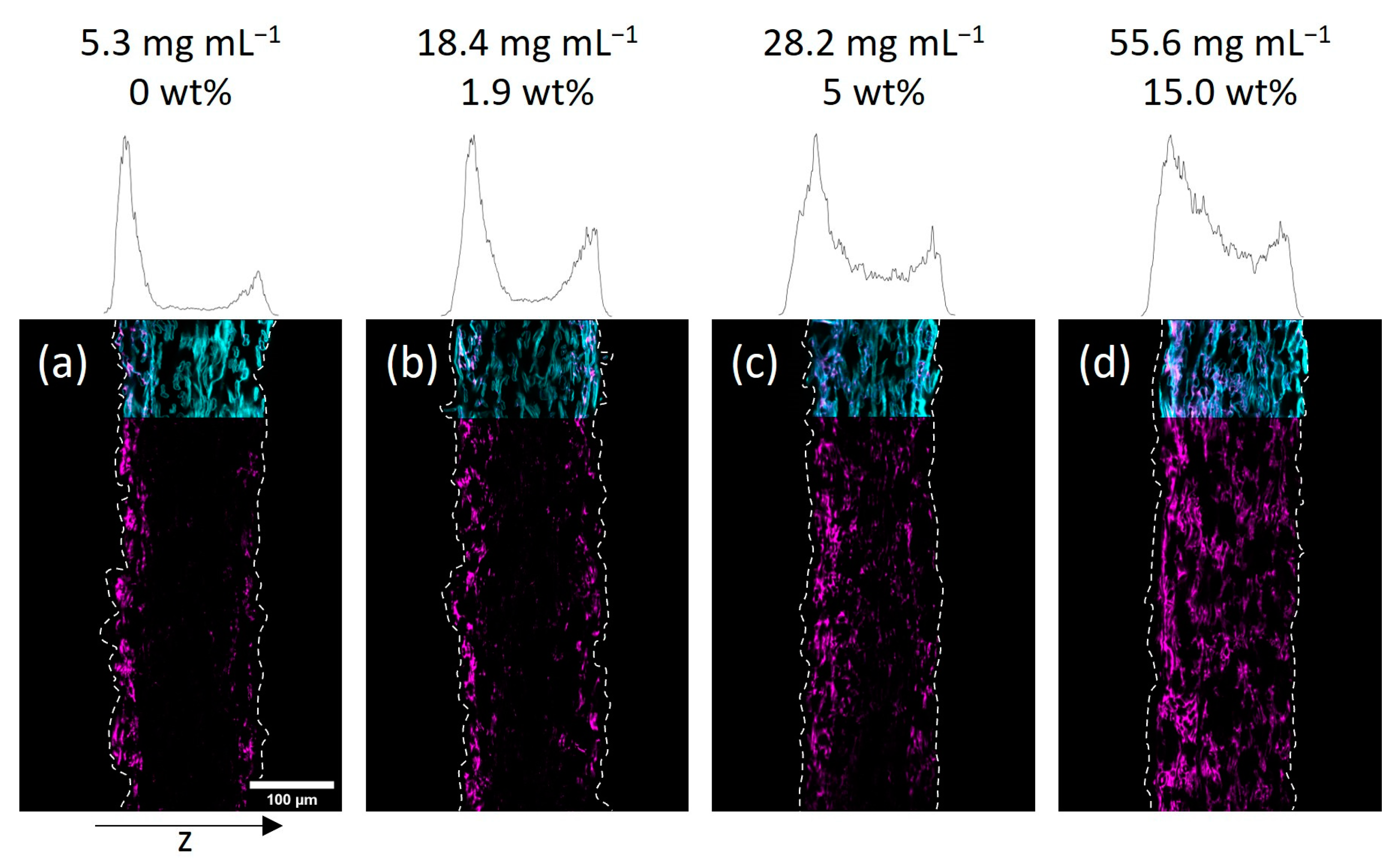 Biomimetics 08 00043 g004