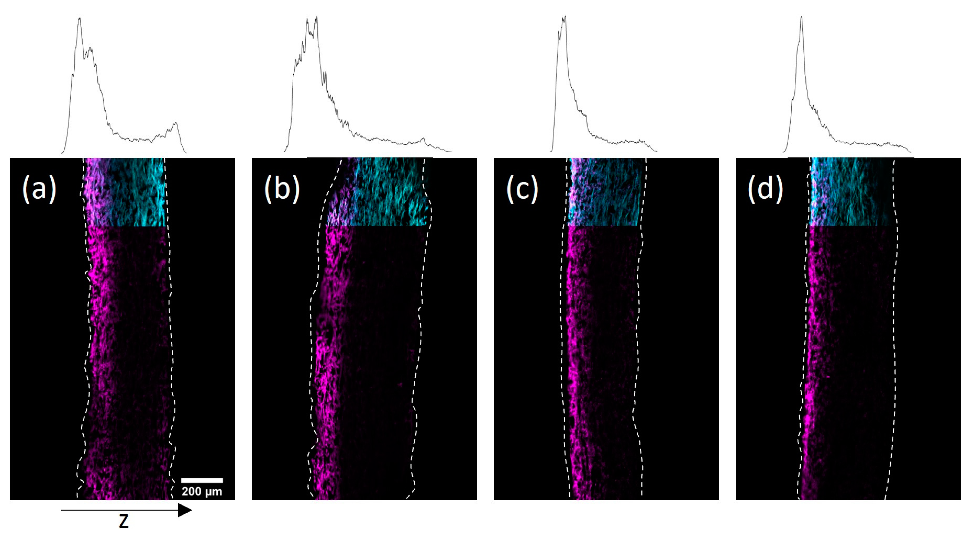 Biomimetics 08 00043 g007