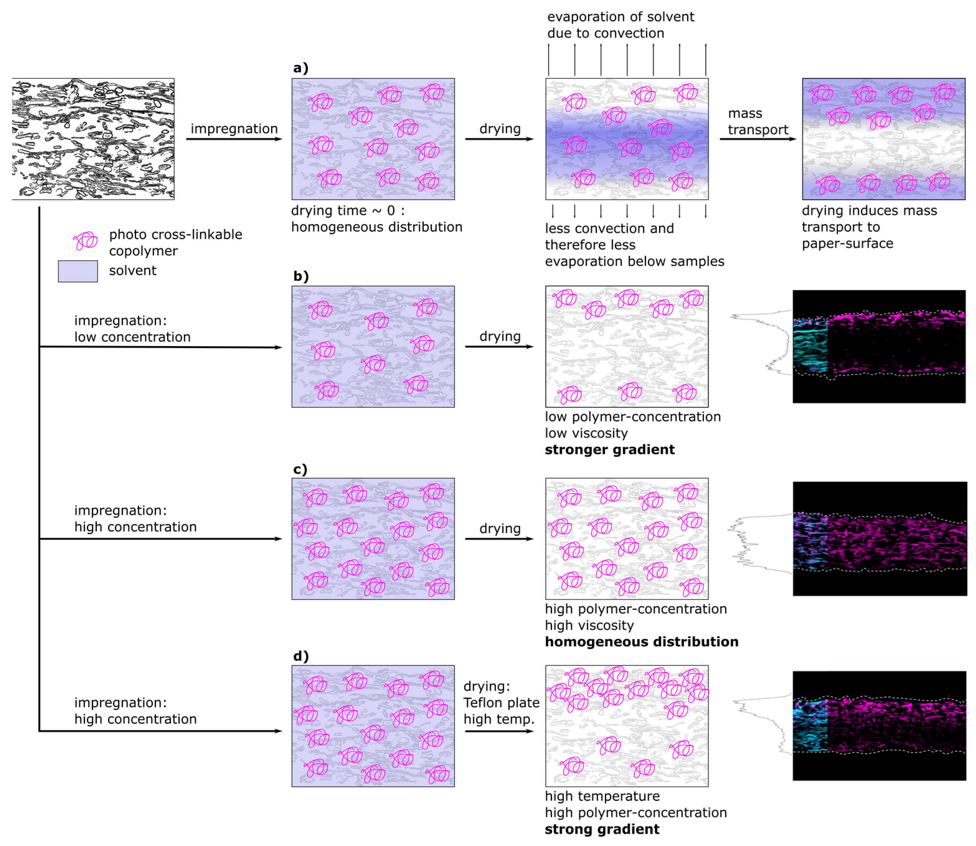 Biomimetics 08 00043 g008