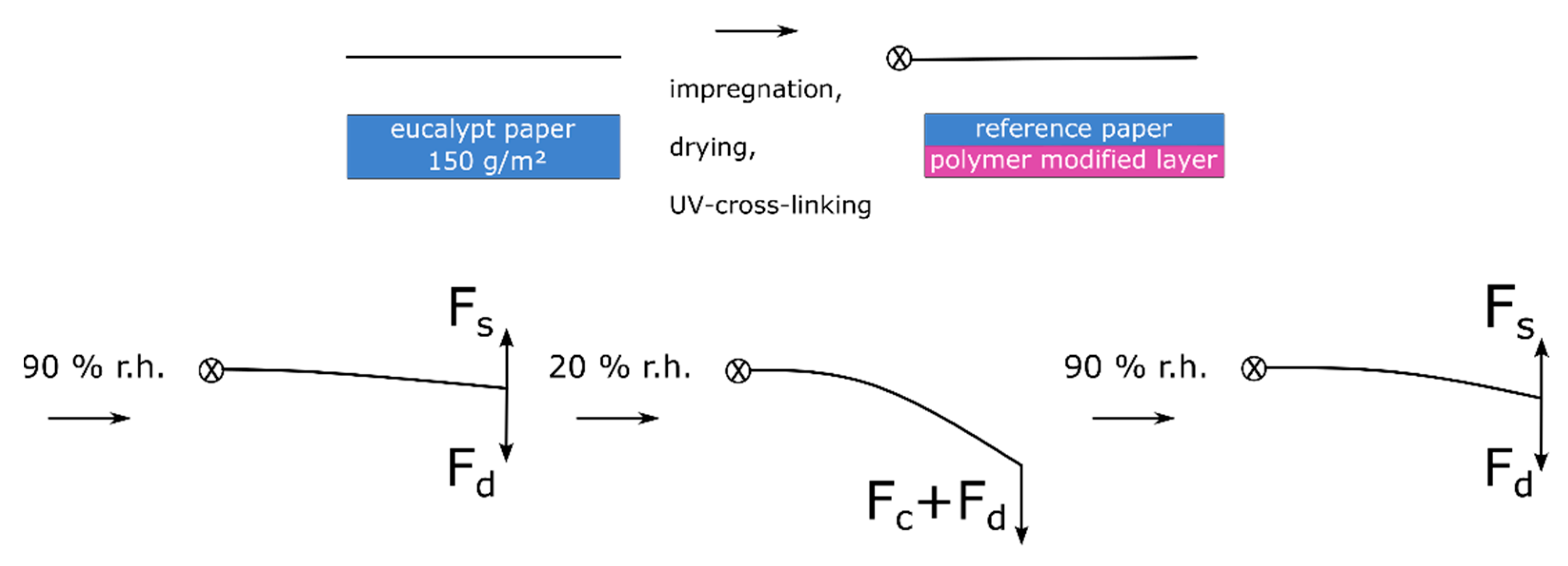 Biomimetics 08 00043 g012