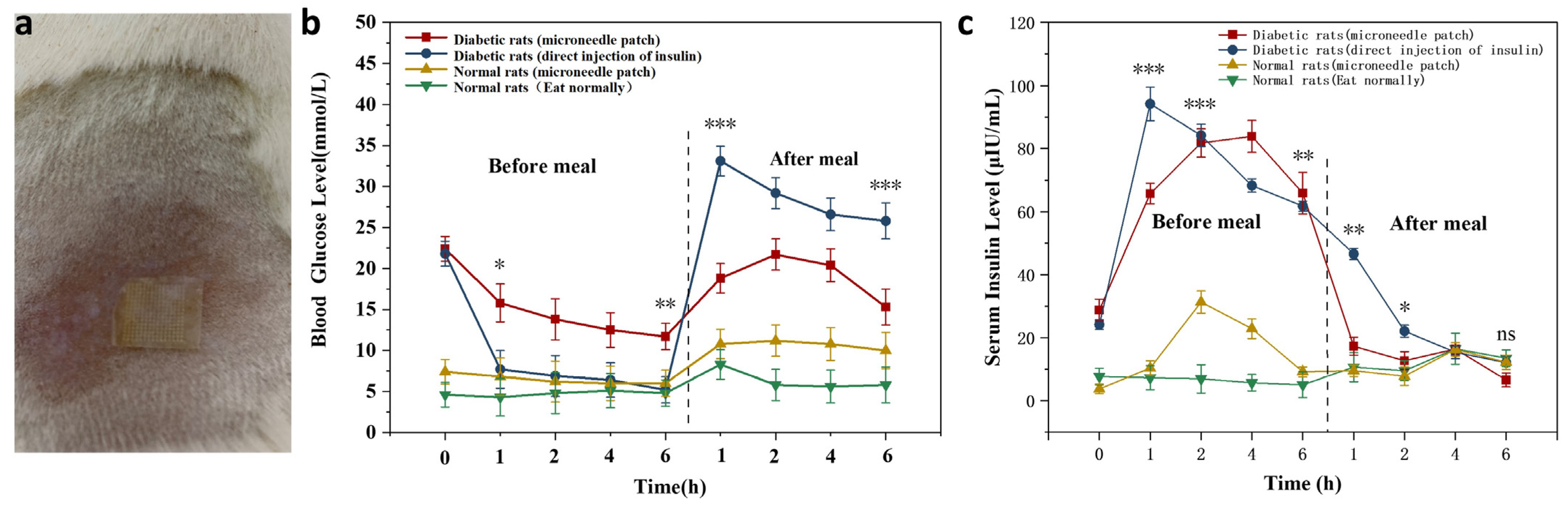 Biomimetics 08 00050 g007