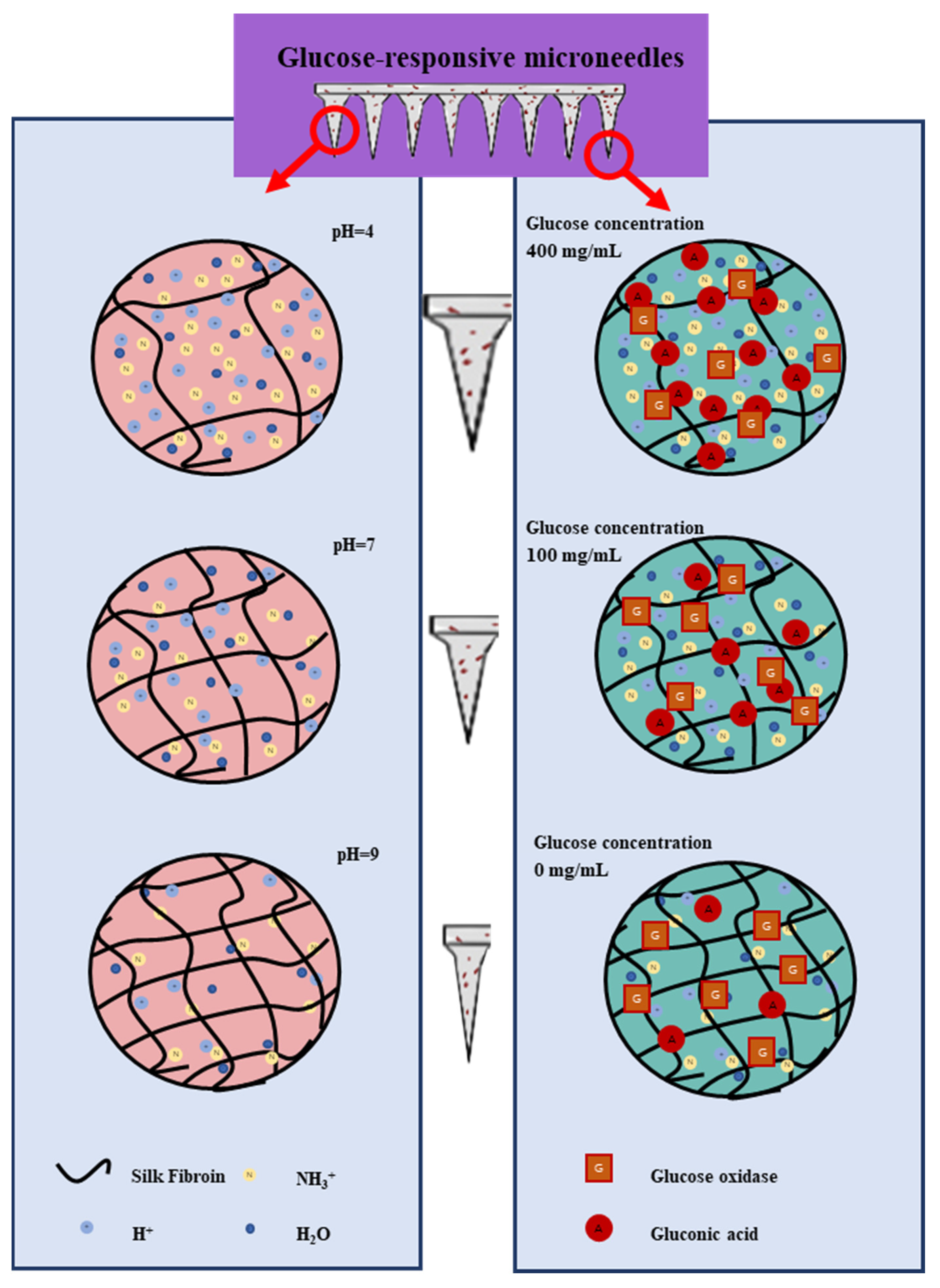 Biomimetics 08 00050 g008