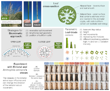 Biomimetics 08 00052 i001 Biomimetics 08 00052 i001