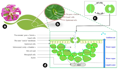 Biomimetics 08 00052 i002 Biomimetics 08 00052 i002
