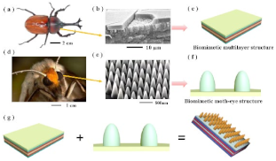Biomimetics 08 00052 i005 Biomimetics 08 00052 i005