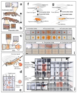 Biomimetics 08 00052 i010 Biomimetics 08 00052 i010