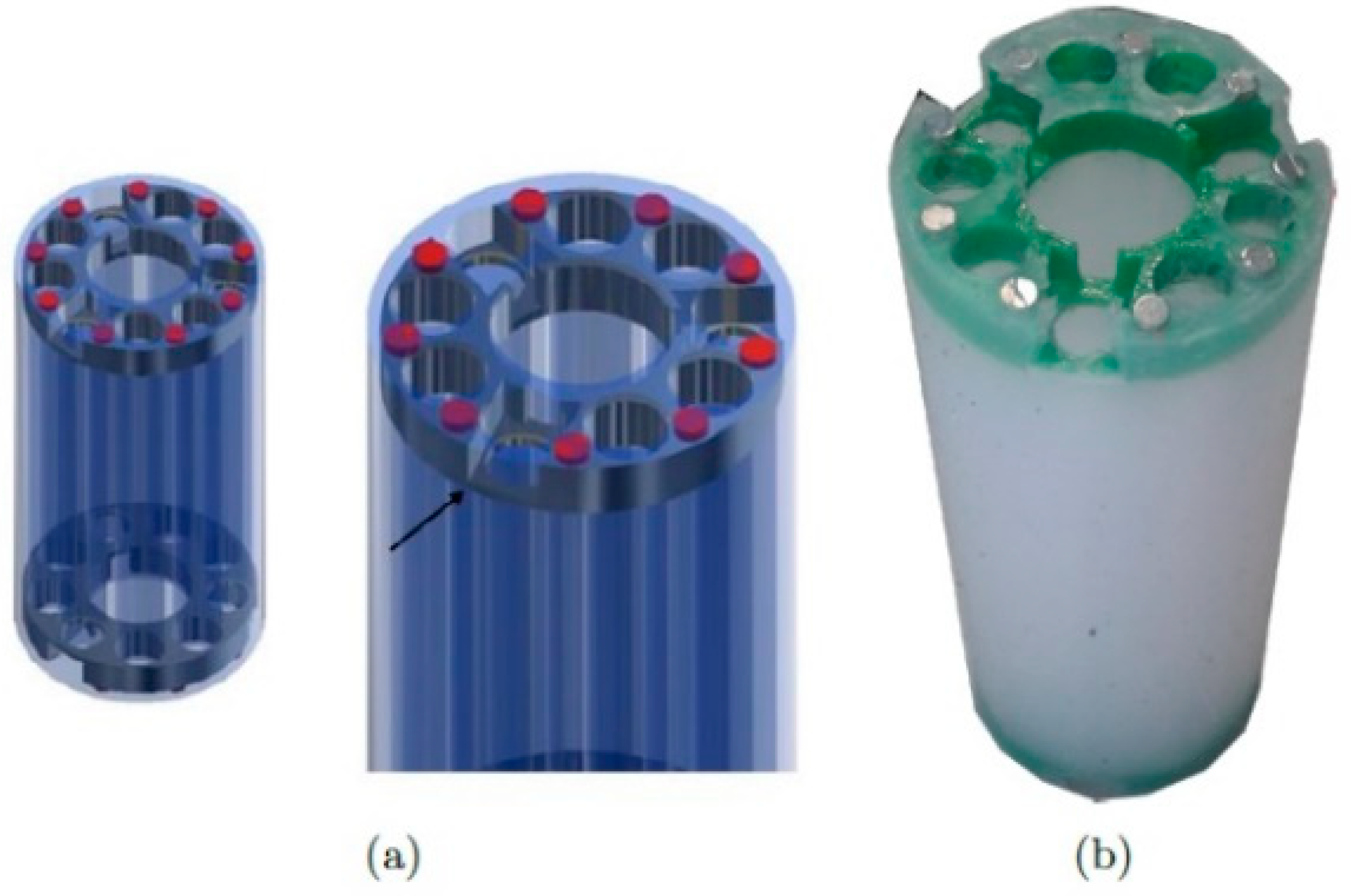 Biomimetics 08 00056 g006