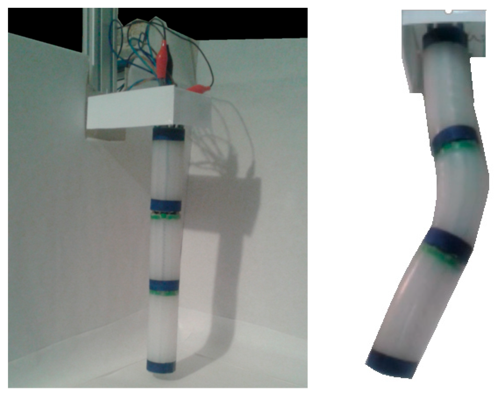 Biomimetics 08 00056 g007