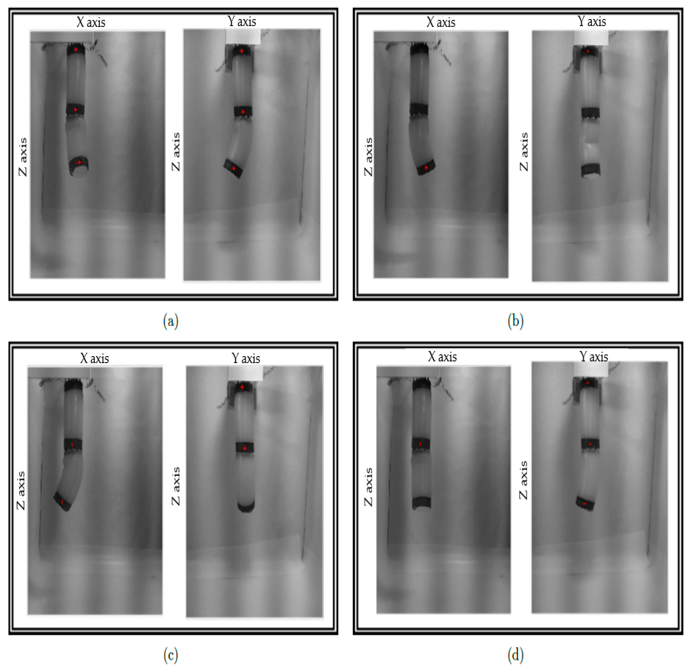 Biomimetics 08 00056 g009