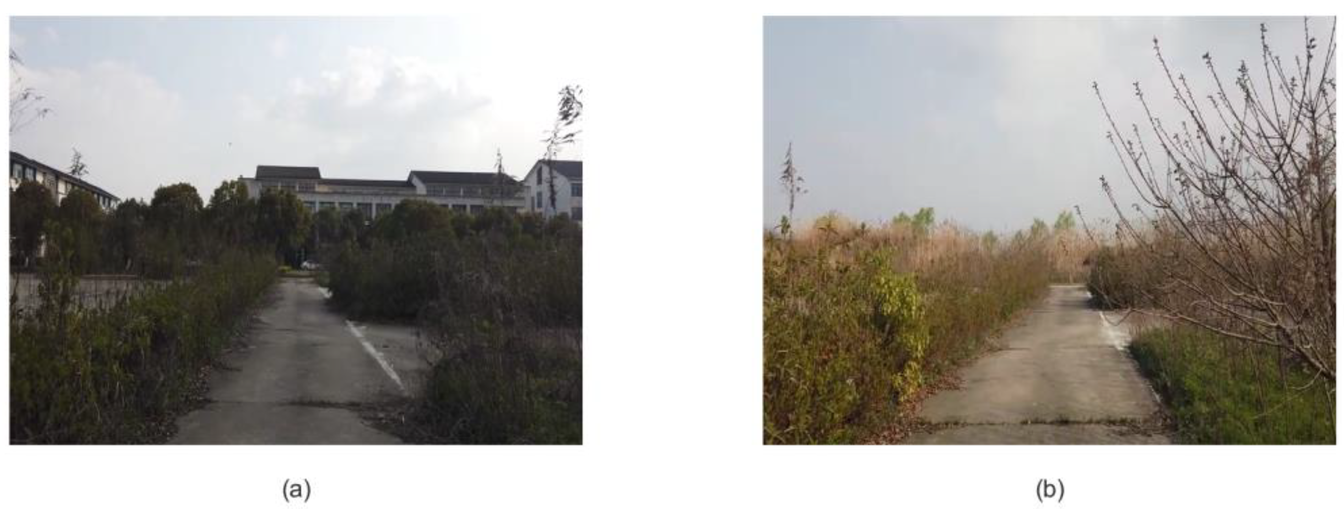 Biomimetics 08 00059 g014