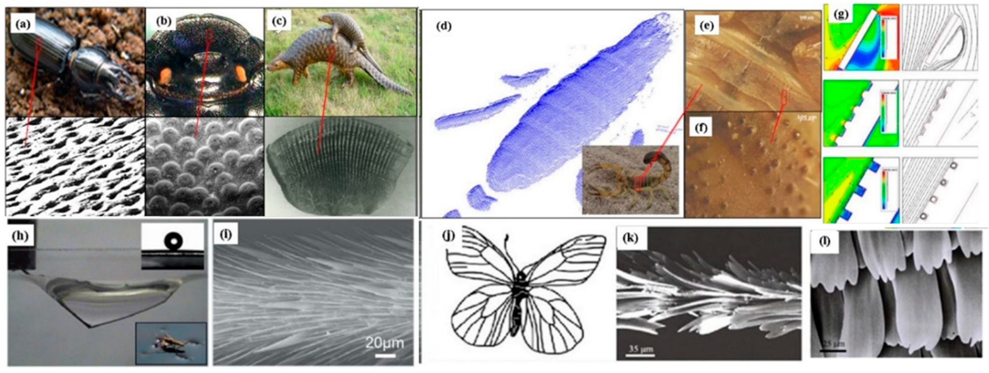 Biomimetics 08 00062 g004 Biomimetics 08 00062 g004